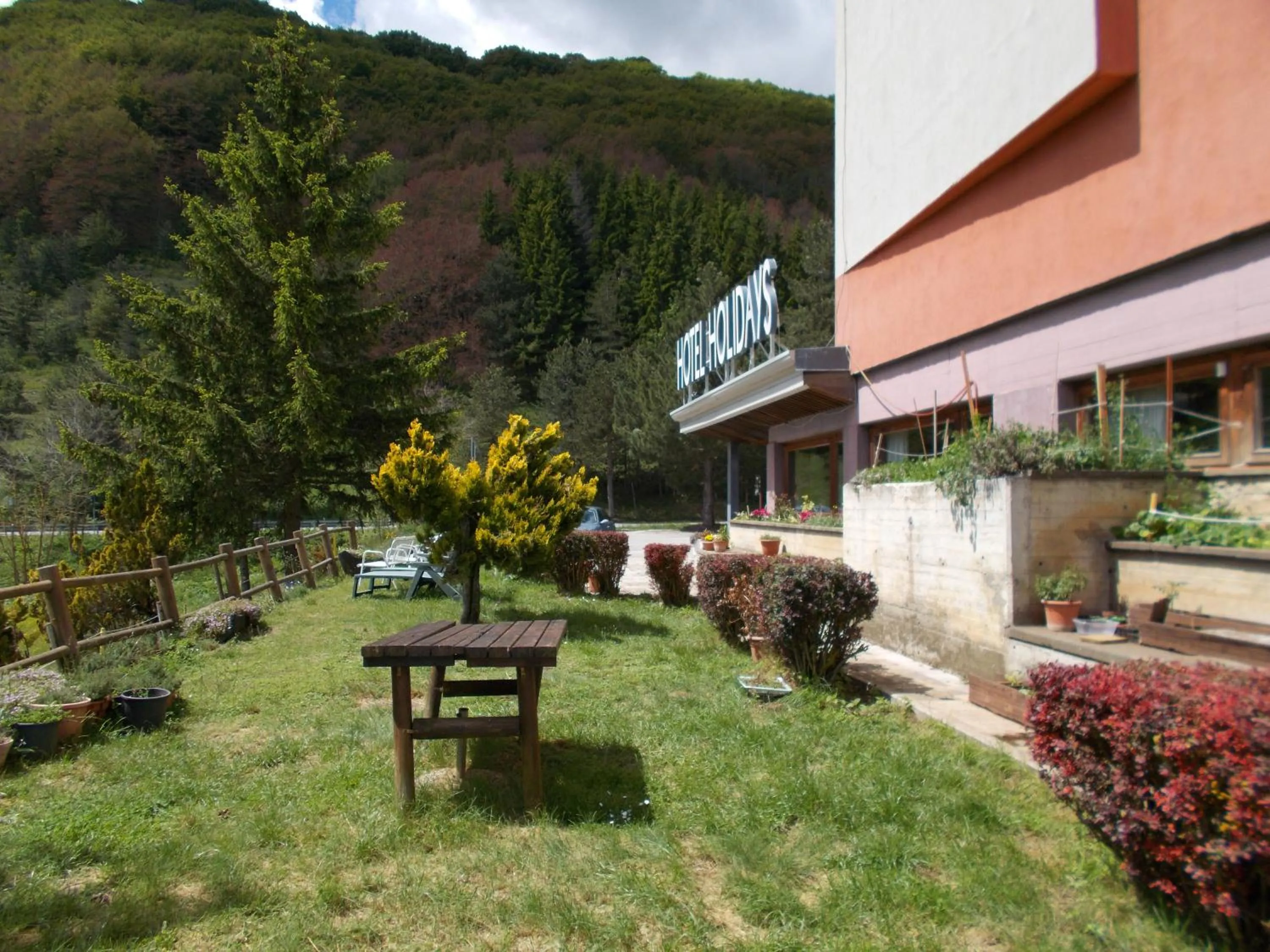 Garden view in Hotel Holidays