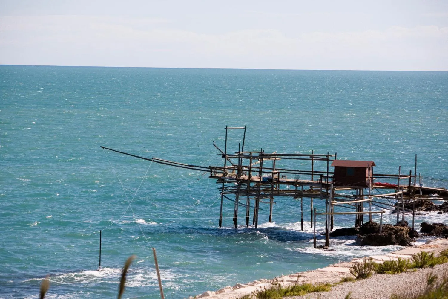 Area and facilities in Hotel Levante