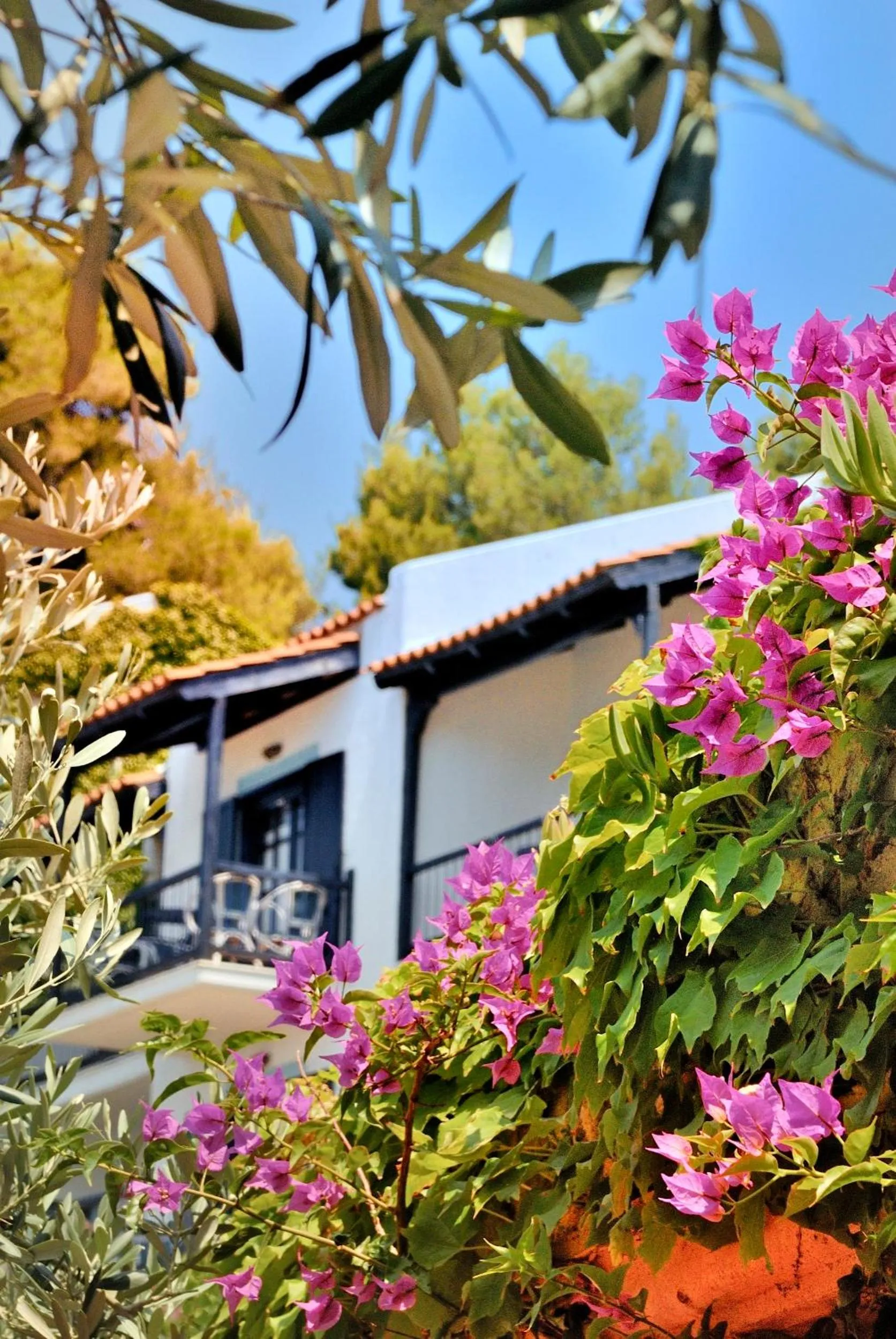 Decorative detail in Adrina Beach Hotel