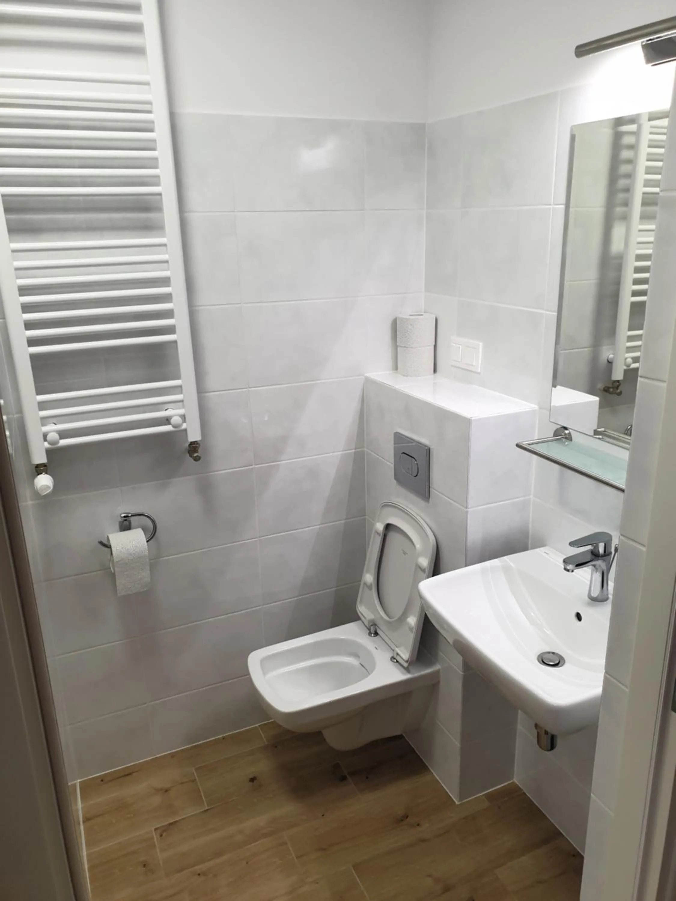 Toilet in Dwór nad jeziorem w Bieniaszach