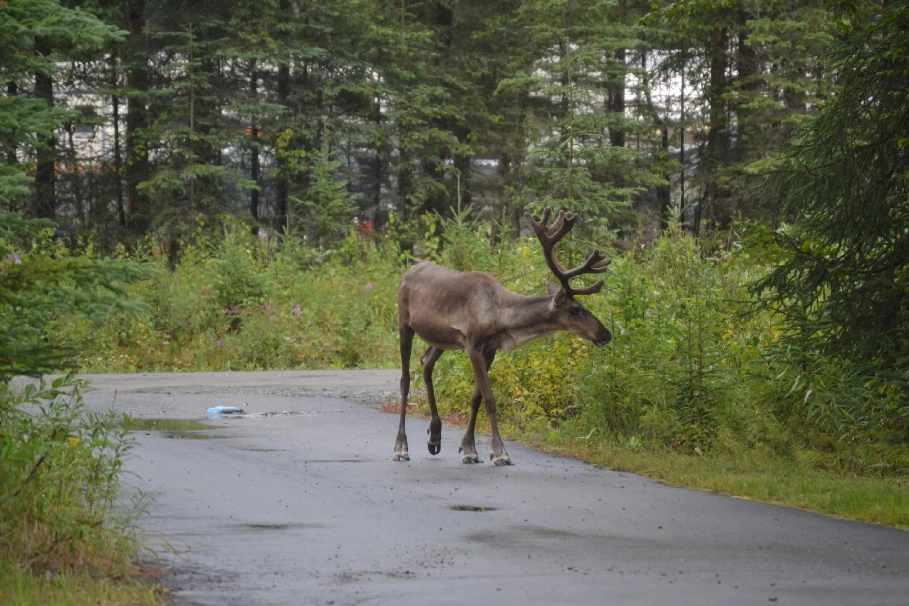 Summer in All Seasons B&B