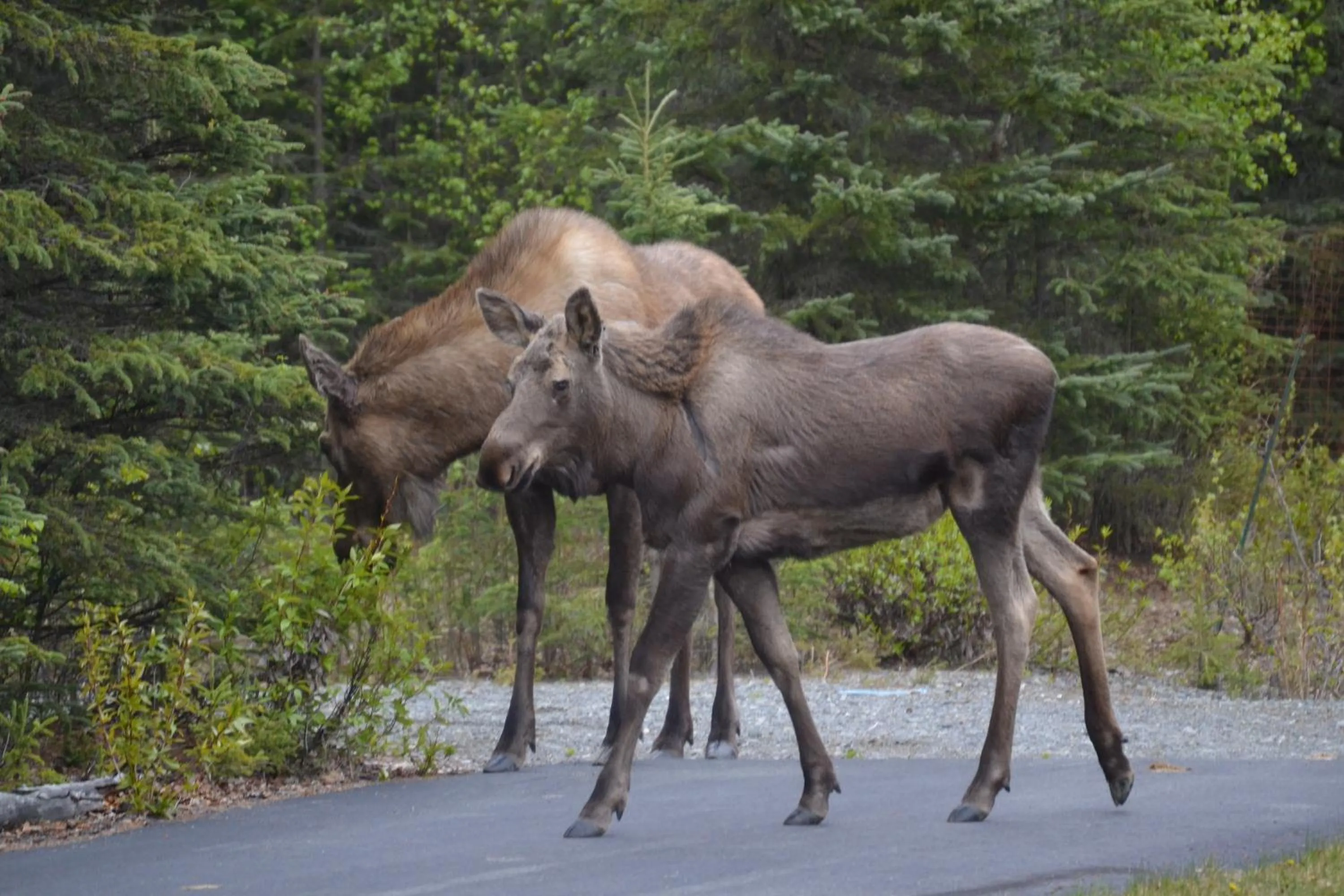 Summer in All Seasons B&B