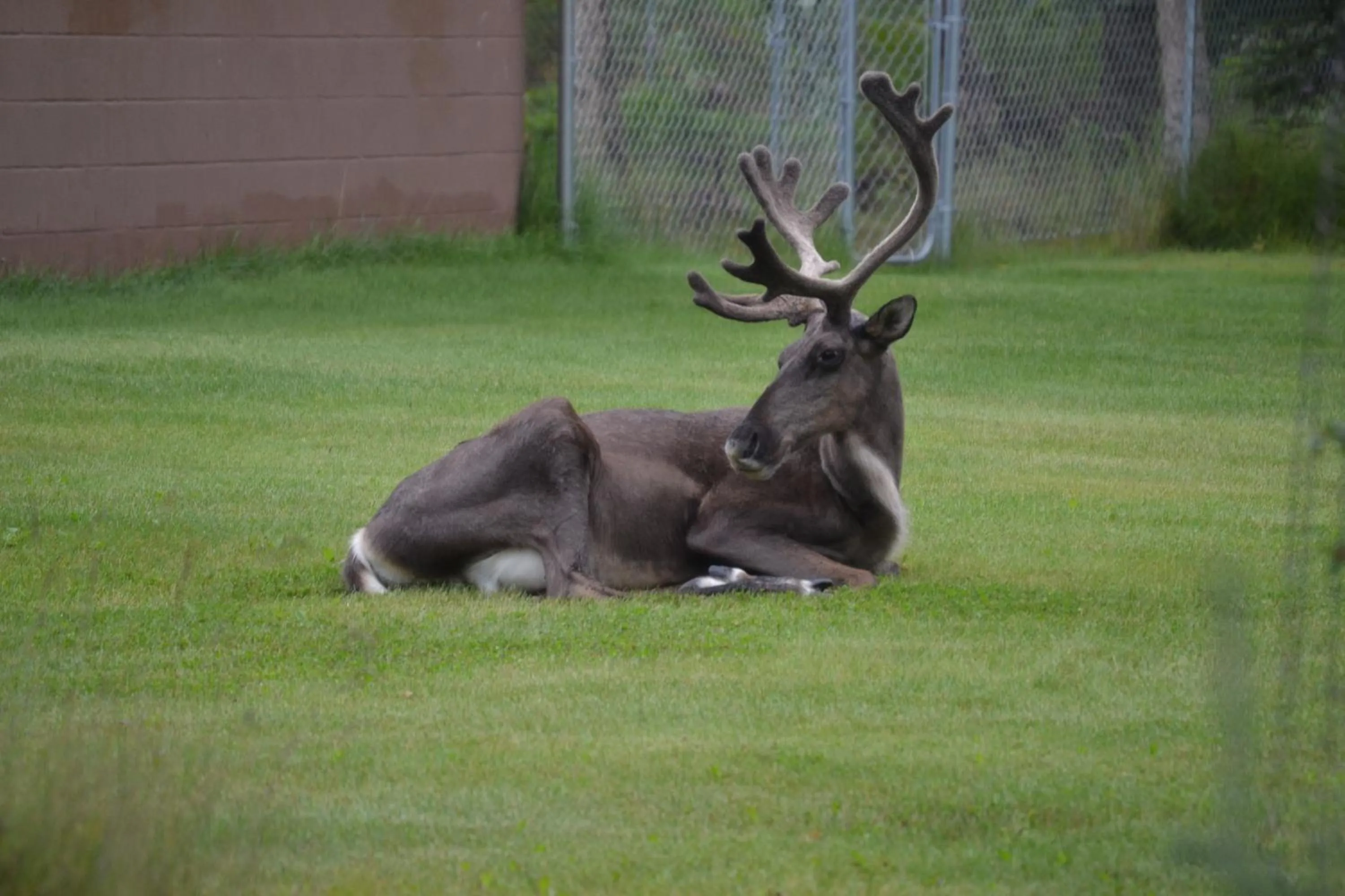 Summer in All Seasons B&B
