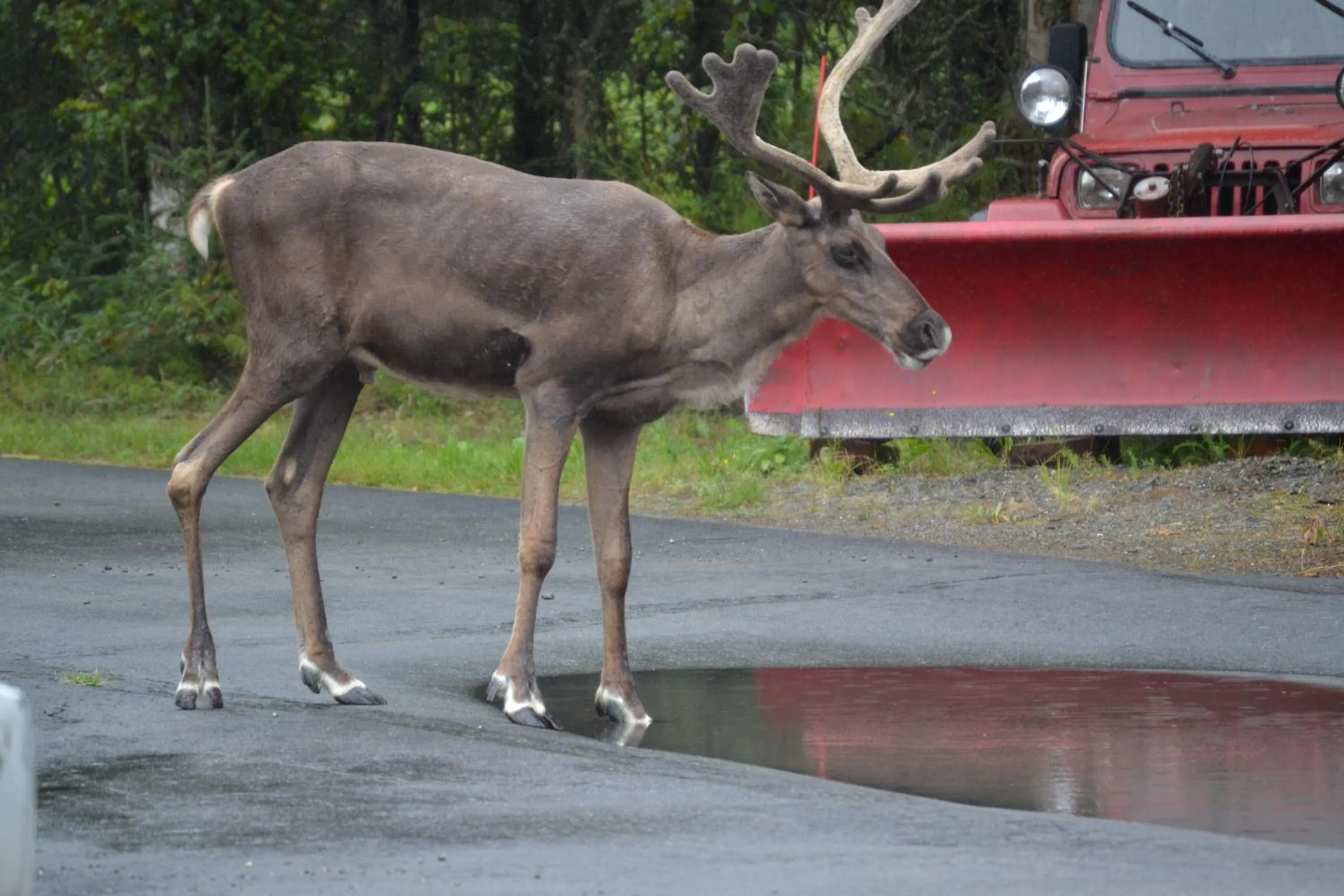Summer in All Seasons B&B