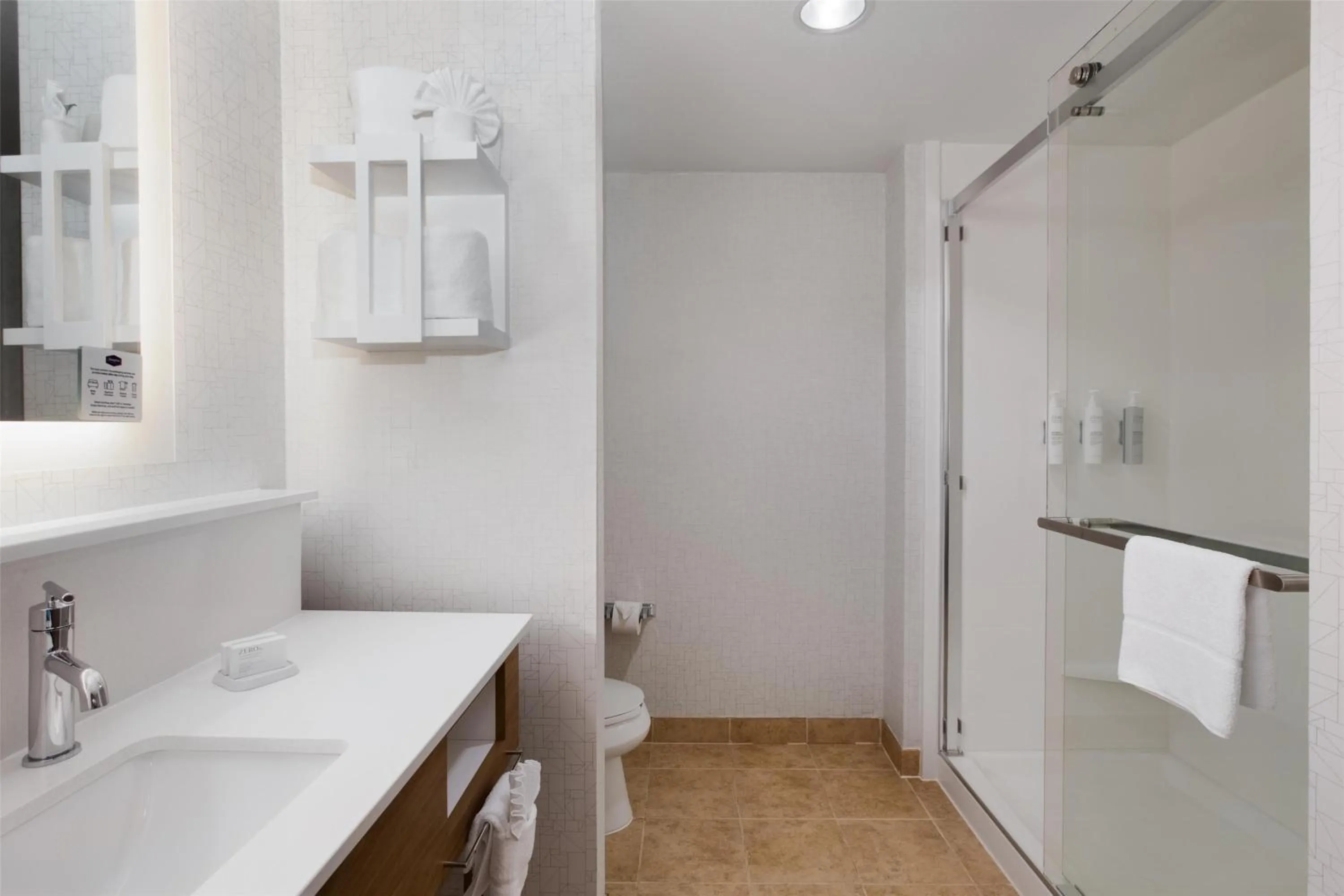 Bathroom in Hampton Inn & Suites Dallas-Arlington North-Entertainment District