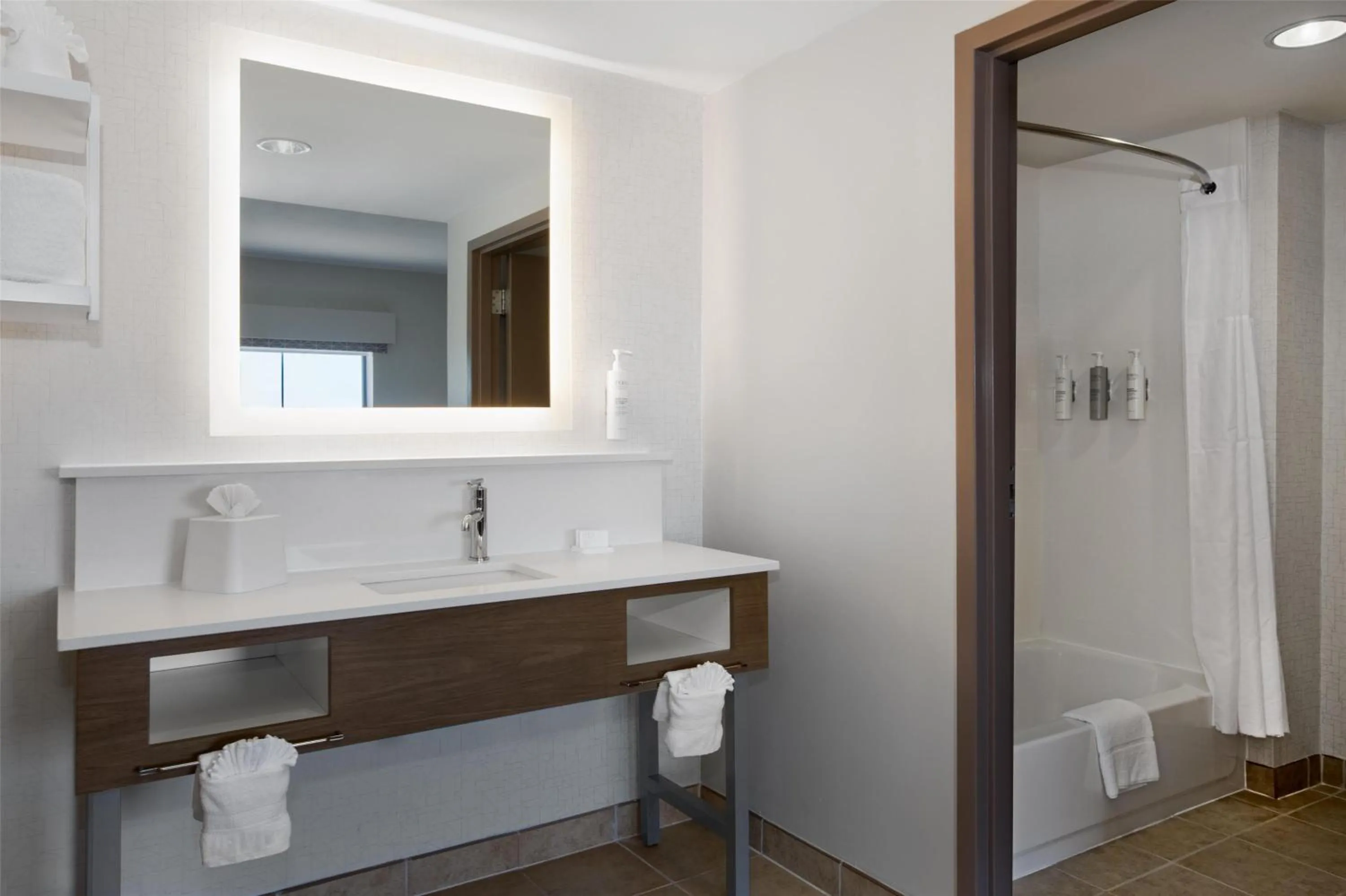 Bathroom in Hampton Inn & Suites Dallas-Arlington North-Entertainment District