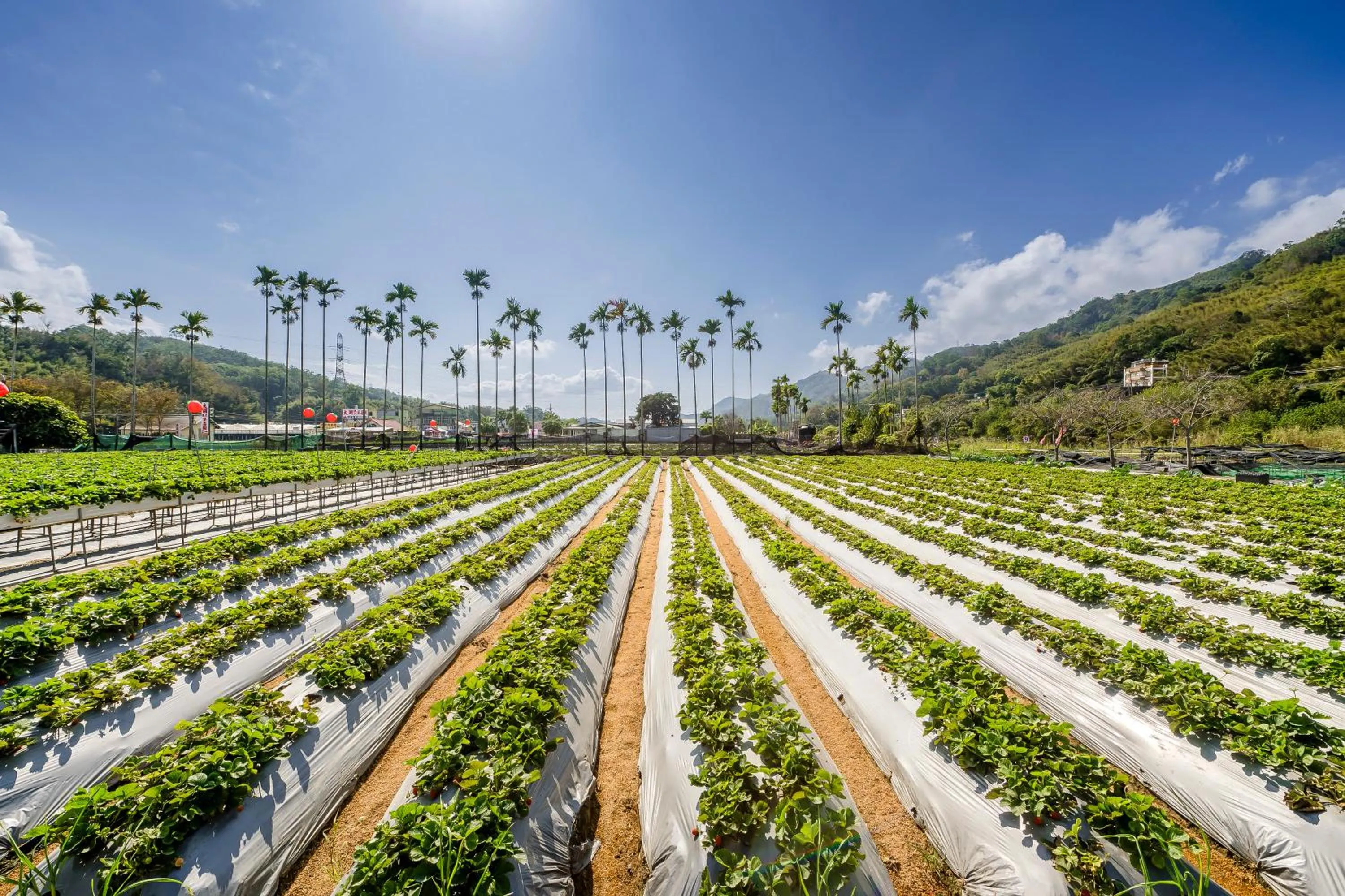 Natural landscape in Quan Ming B&B