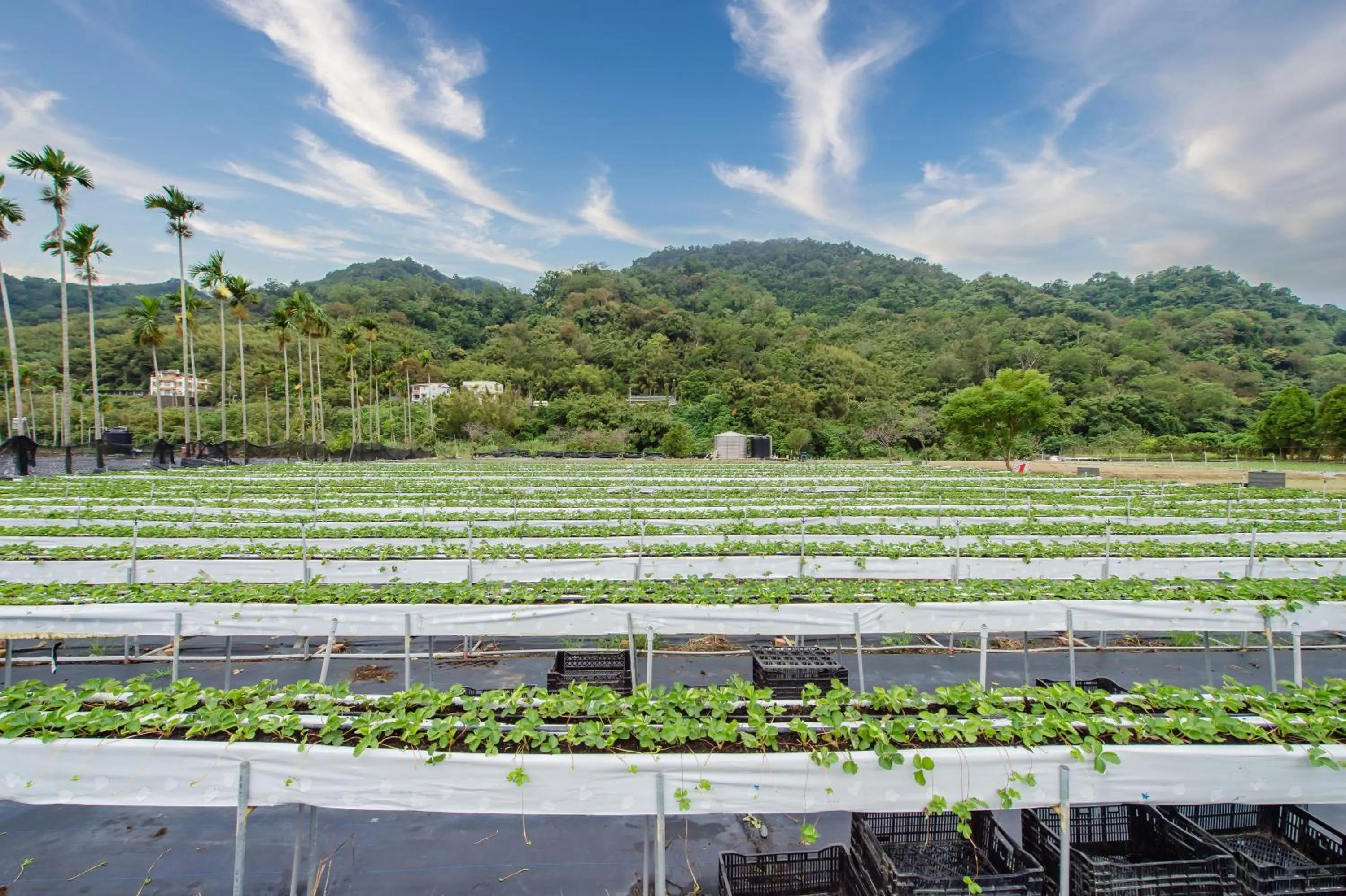 Mountain view in Quan Ming B&B