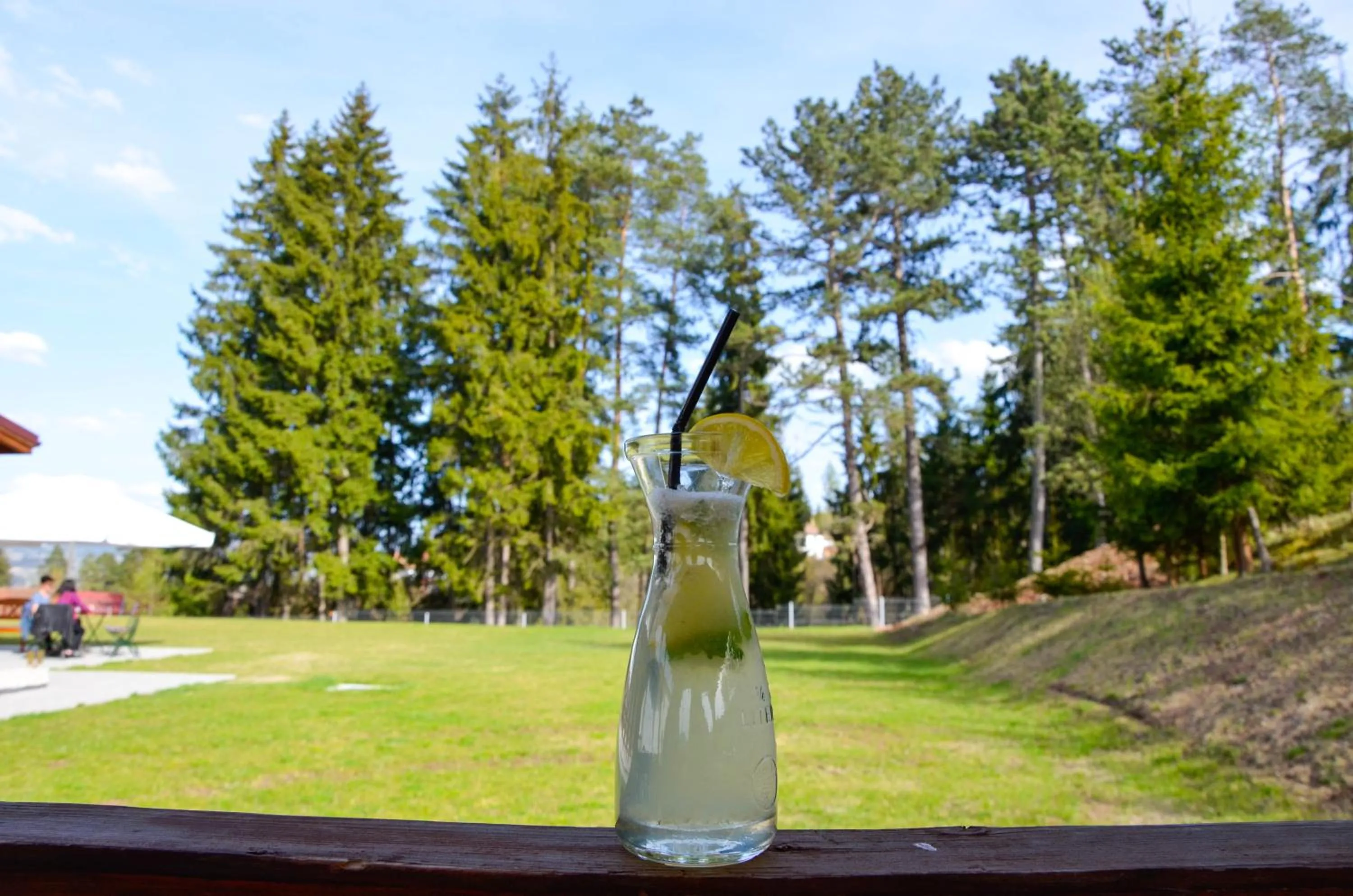 Balcony/Terrace in Pensiunea Banffy