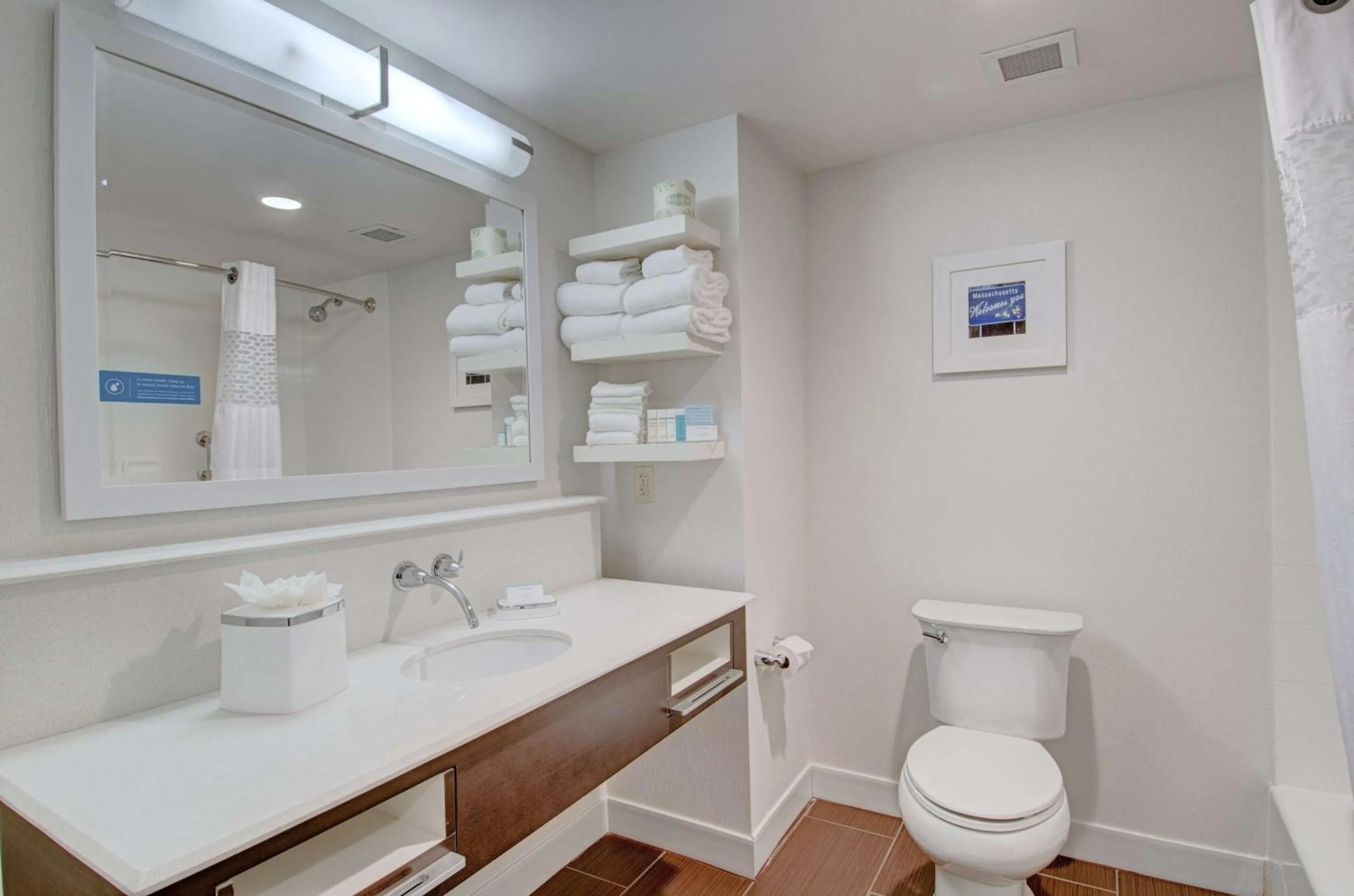 Bathroom in Hampton Inn & Suites Springfield Downtown