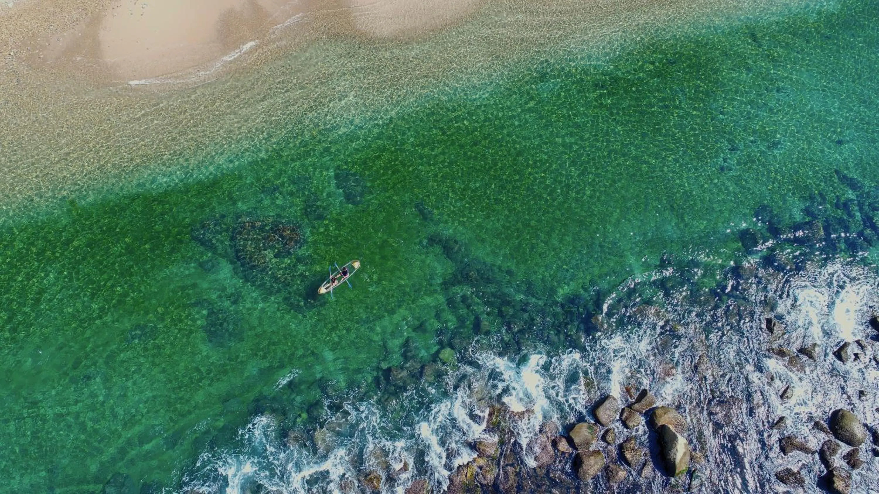 Beach in Costa Sur Resort & Spa