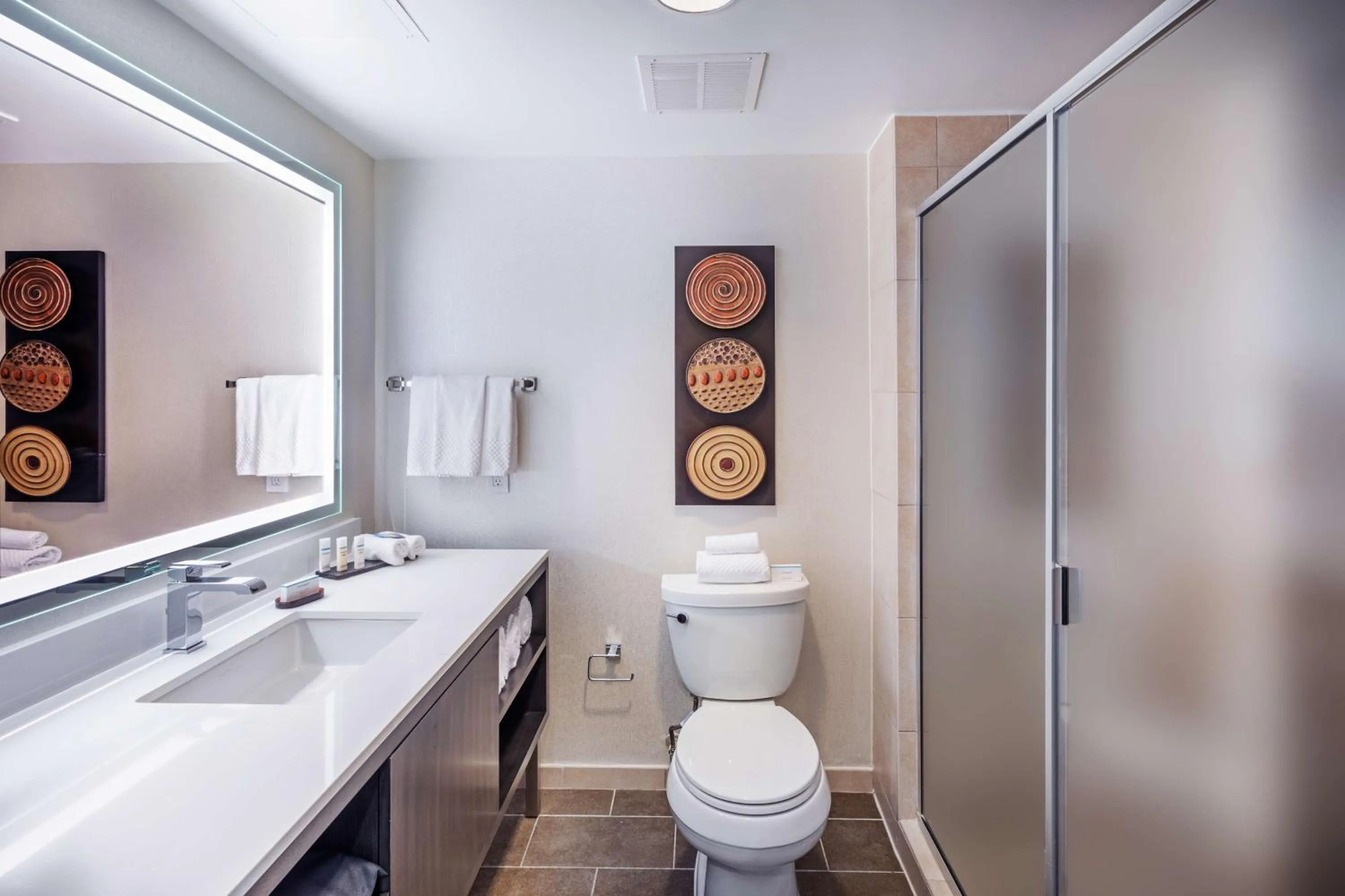 Bathroom in Embassy Suites by Hilton Houston-Energy Corridor