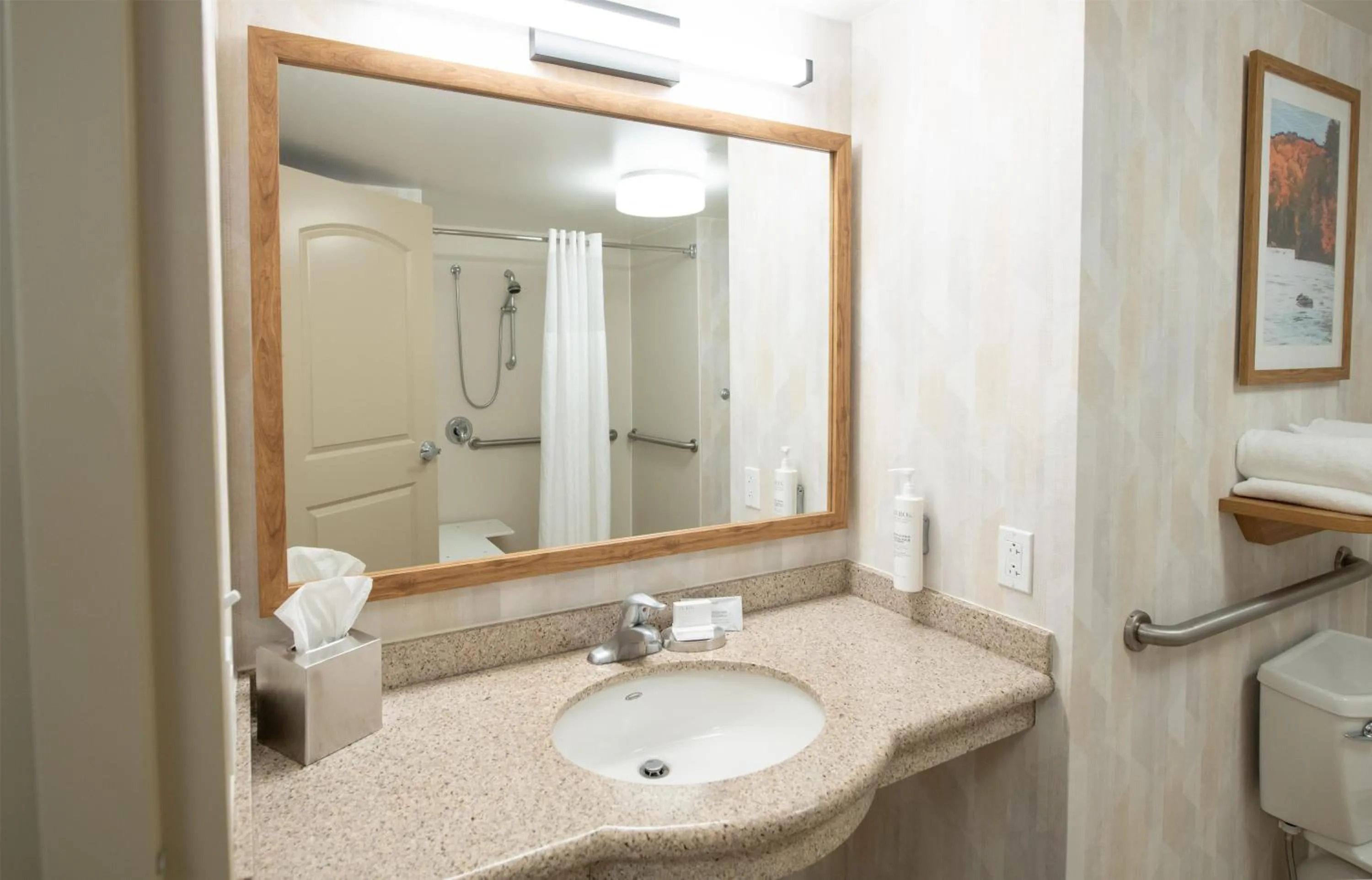 Bathroom in Hampton Inn Presque Isle