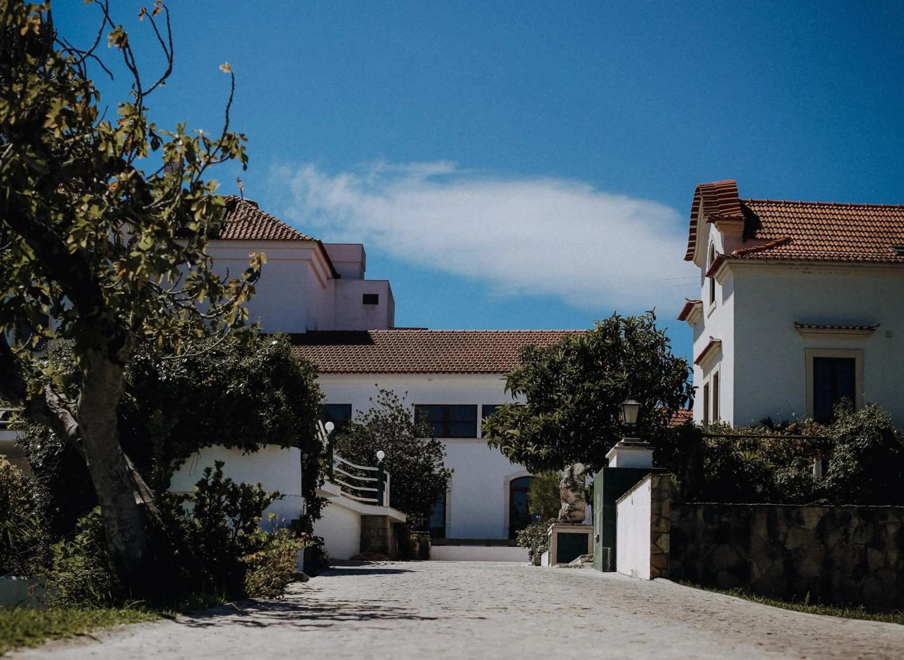 Property building in Quinta d'Anta- Hotel Rural