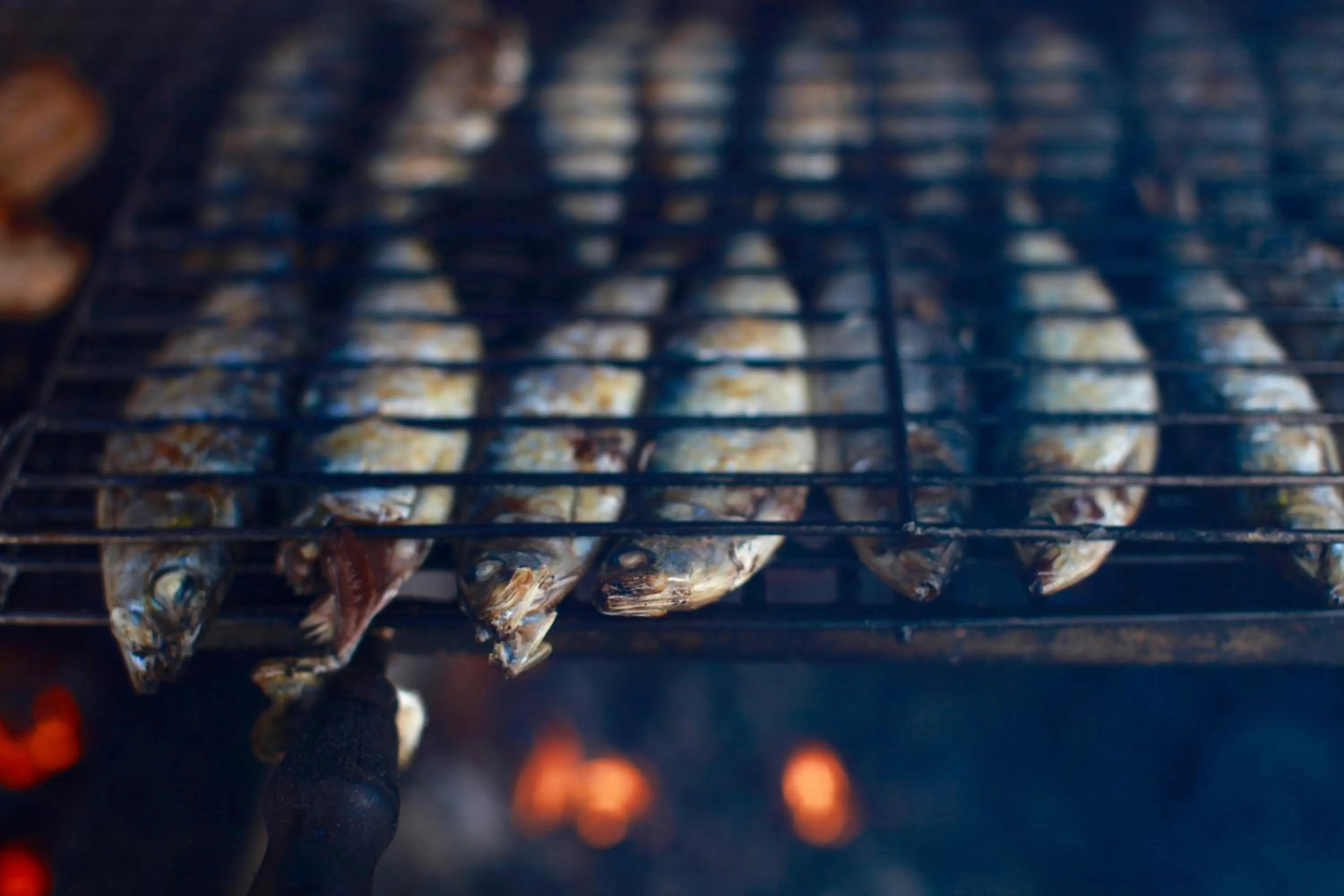 Restaurant/places to eat in Quinta d'Anta- Hotel Rural