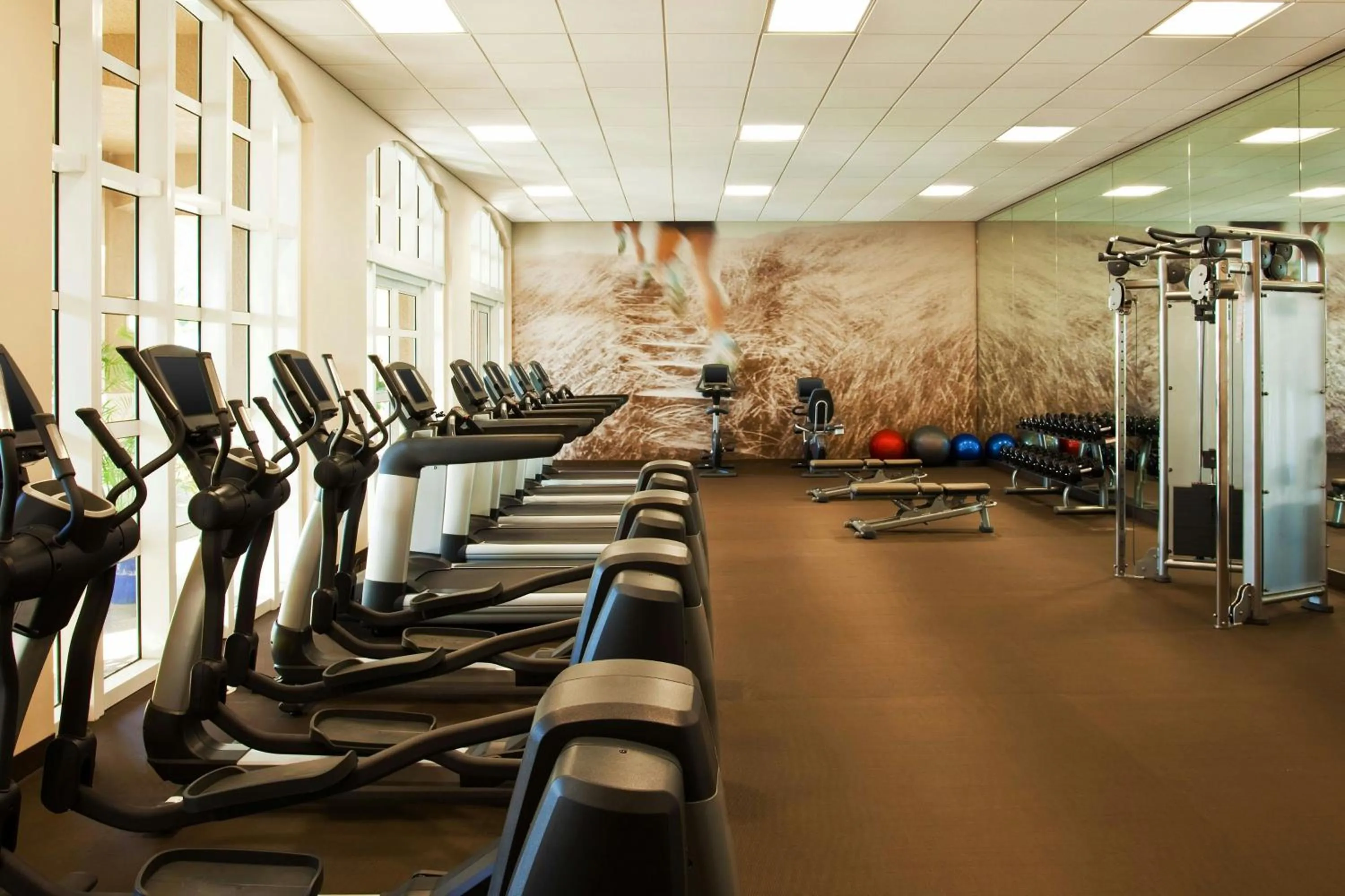 Fitness centre/facilities in The Westin Cape Coral Resort at Marina Village