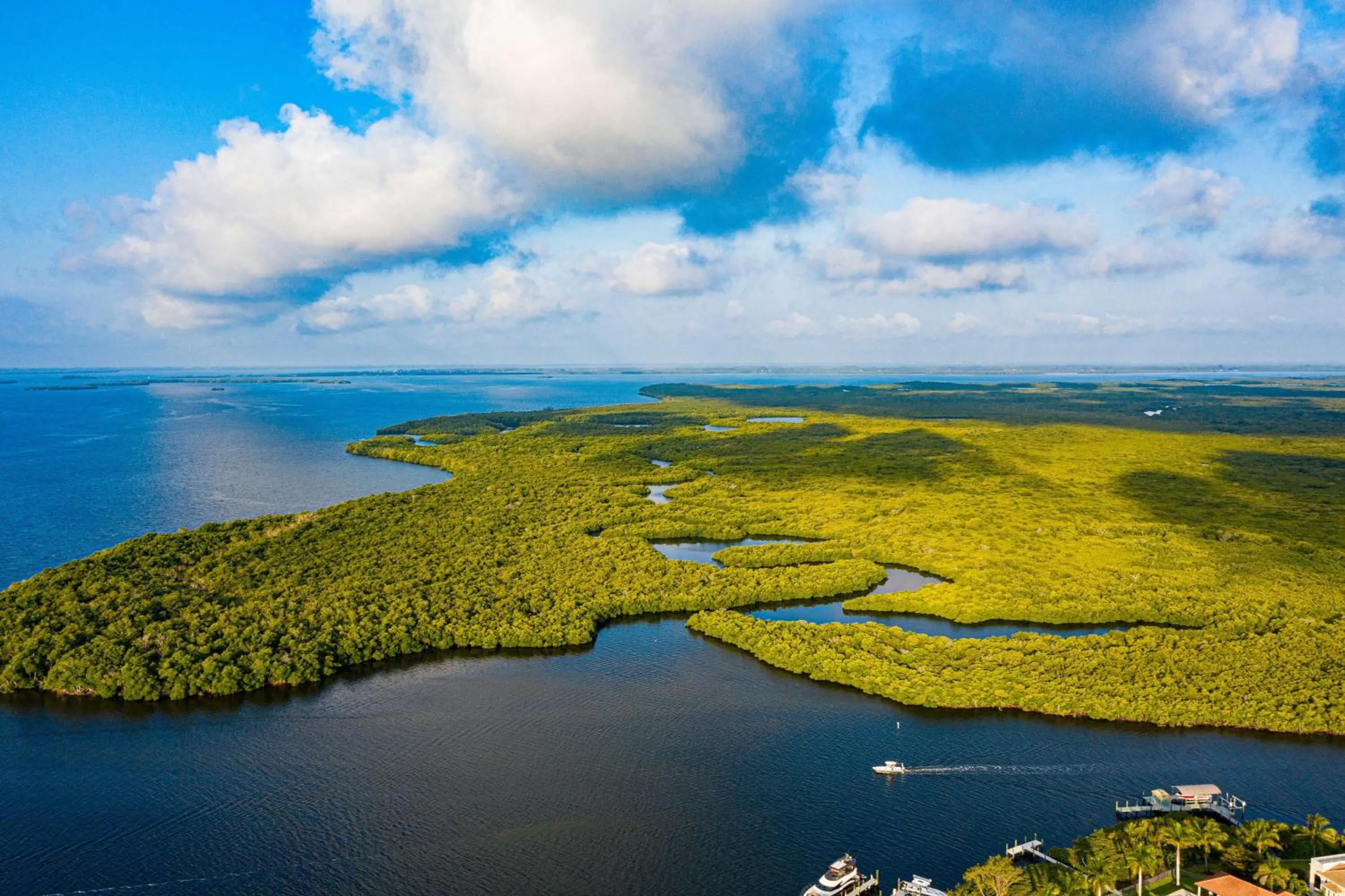 Photo of the whole room in The Westin Cape Coral Resort at Marina Village