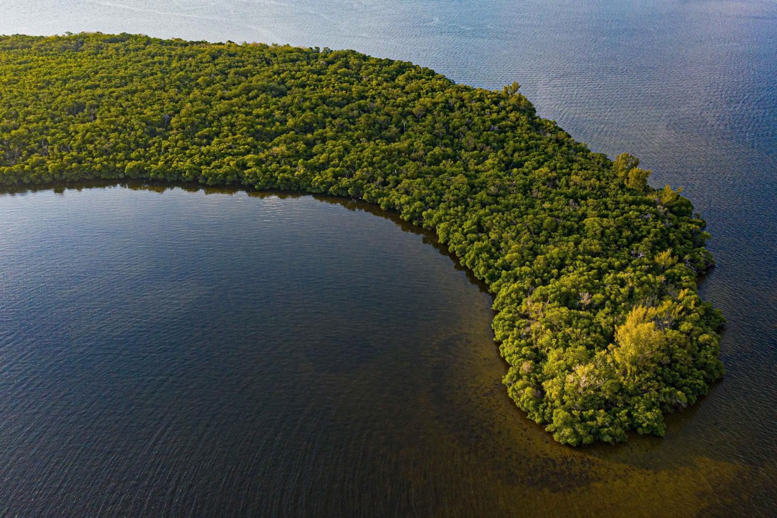 View (from property/room) in The Westin Cape Coral Resort at Marina Village