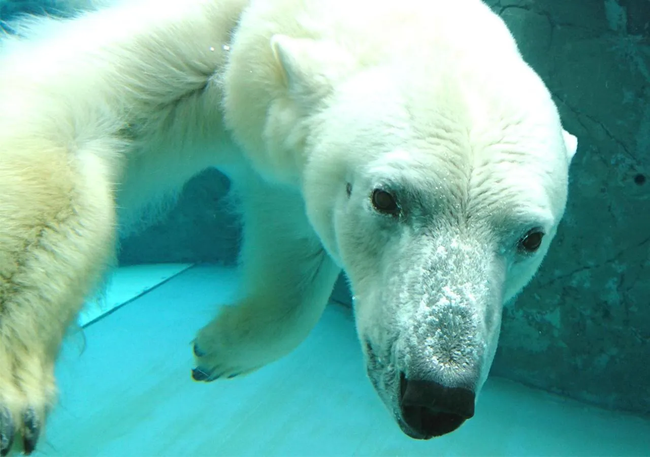 Nearby landmark in Hotel Trend Asahikawa