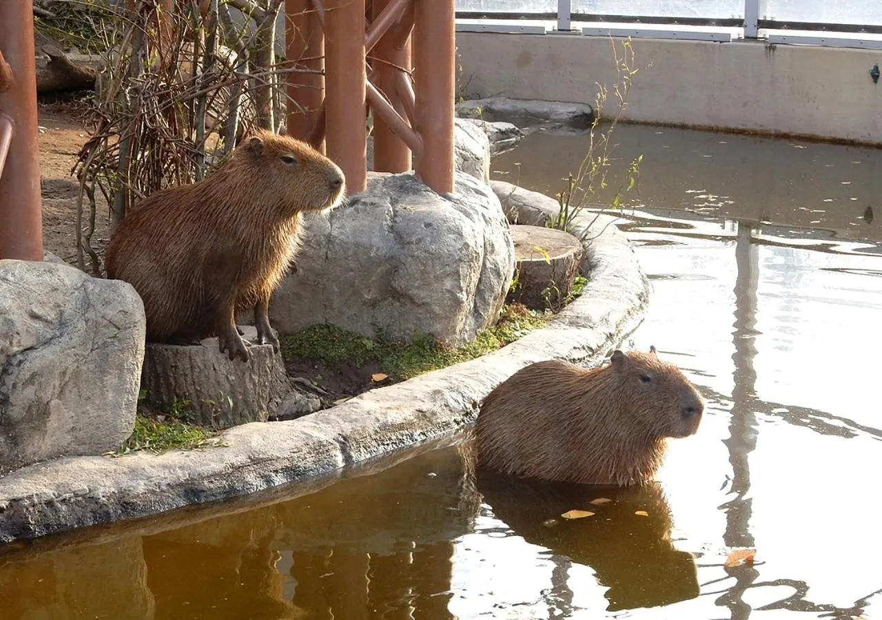 Nearby landmark in Hotel Trend Asahikawa