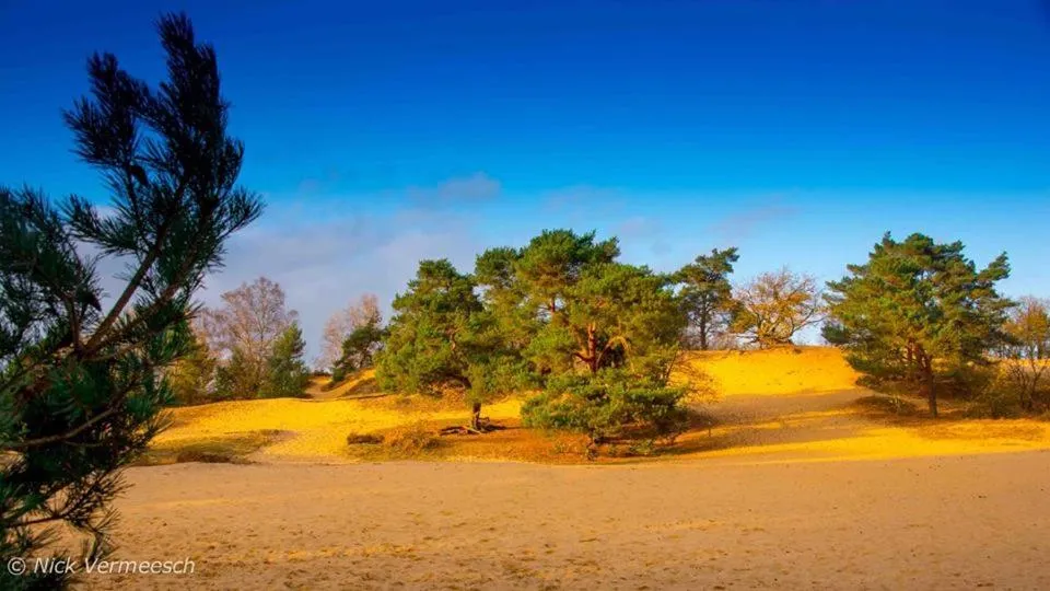 Landmark view in De Blauwe Maaten