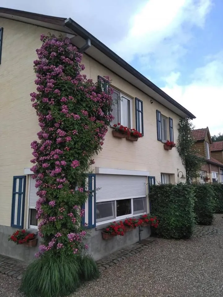 Facade/entrance in De Blauwe Maaten