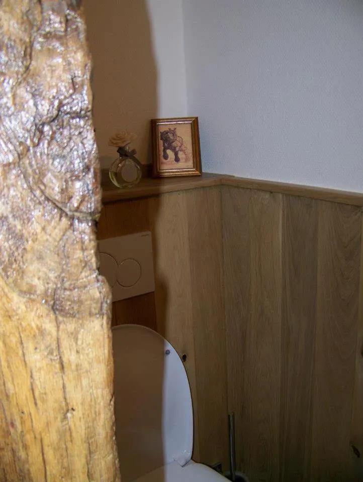 Toilet in De Blauwe Maaten