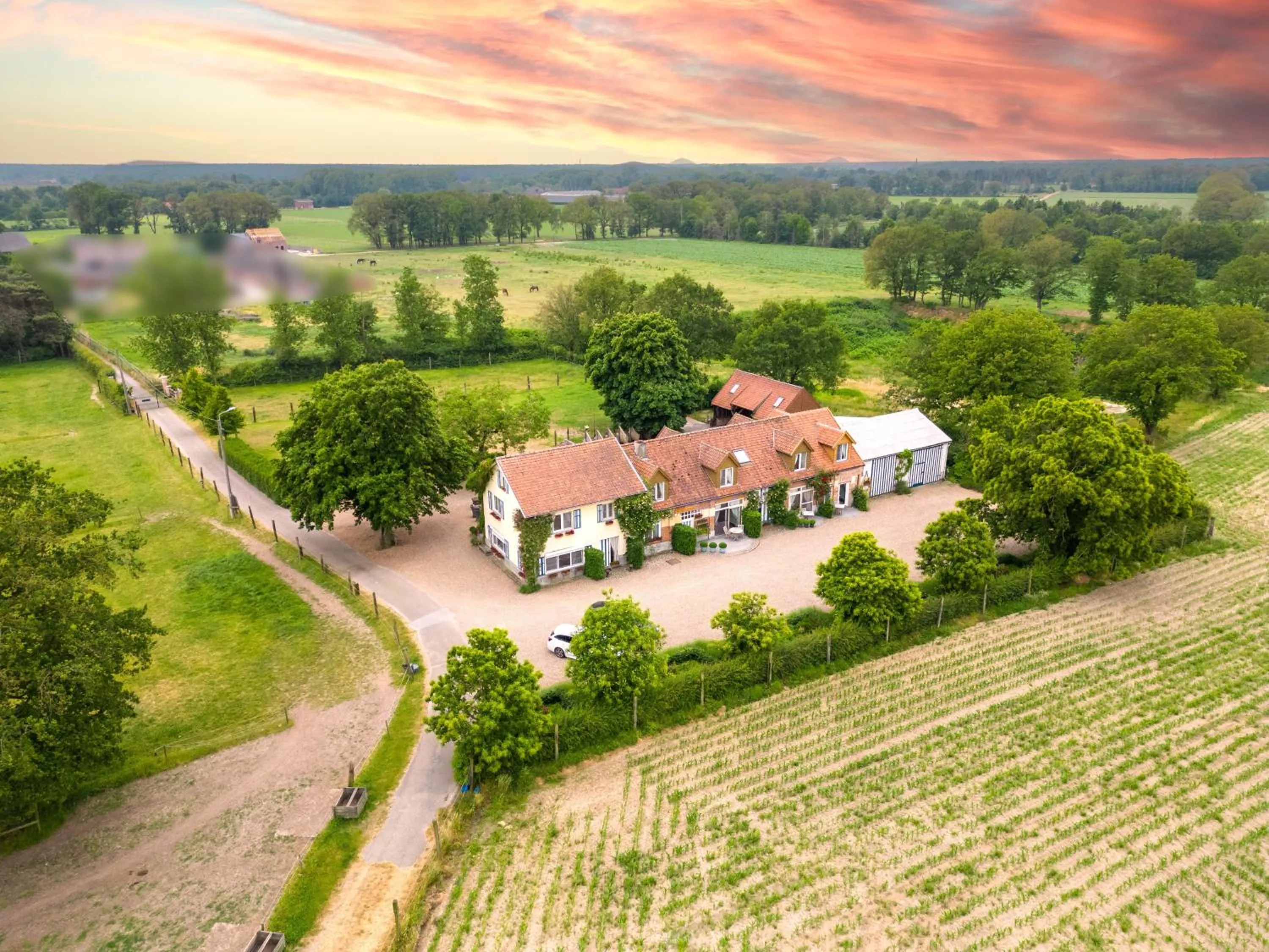View (from property/room) in De Blauwe Maaten