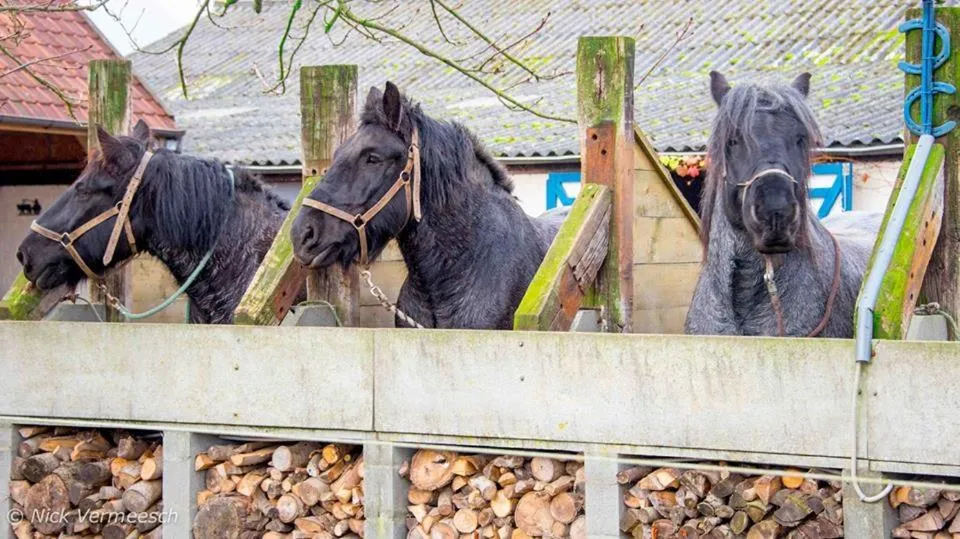 Property building in De Blauwe Maaten