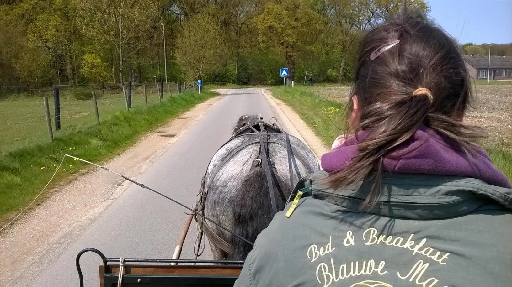 Activities in De Blauwe Maaten