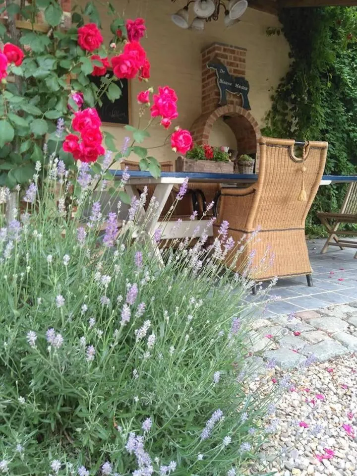 Garden in De Blauwe Maaten