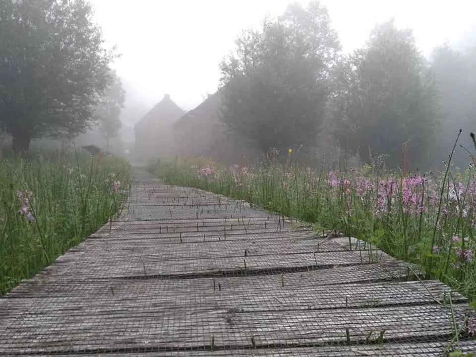 Natural landscape in De Blauwe Maaten