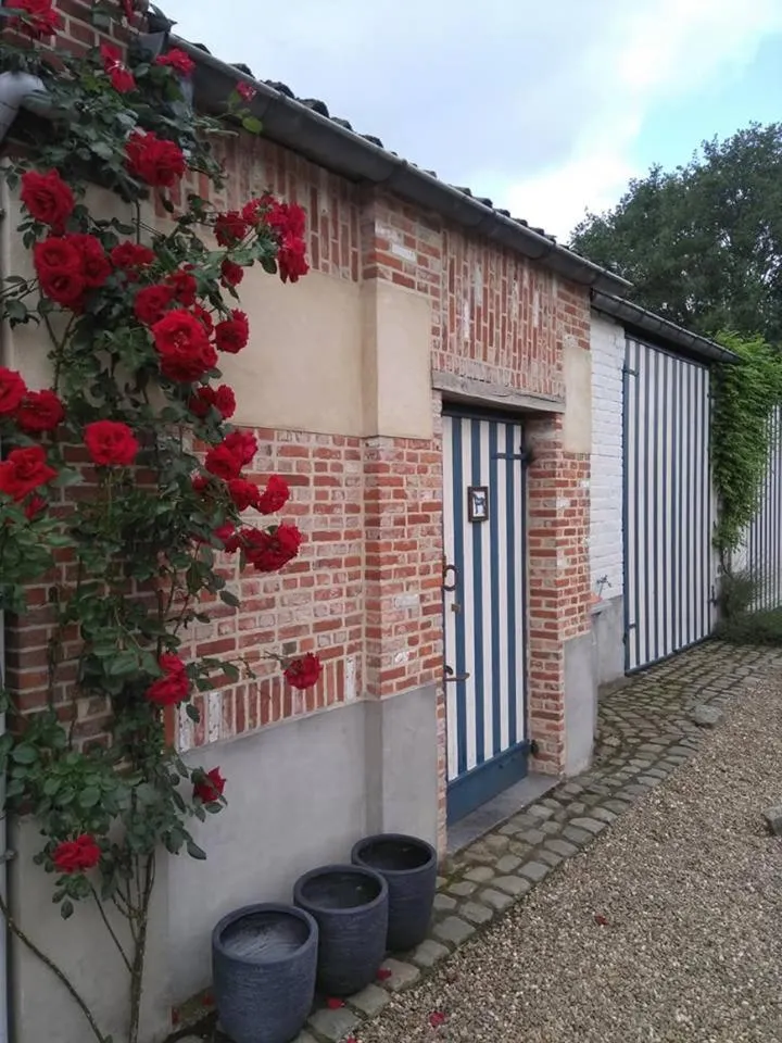 Garden in De Blauwe Maaten