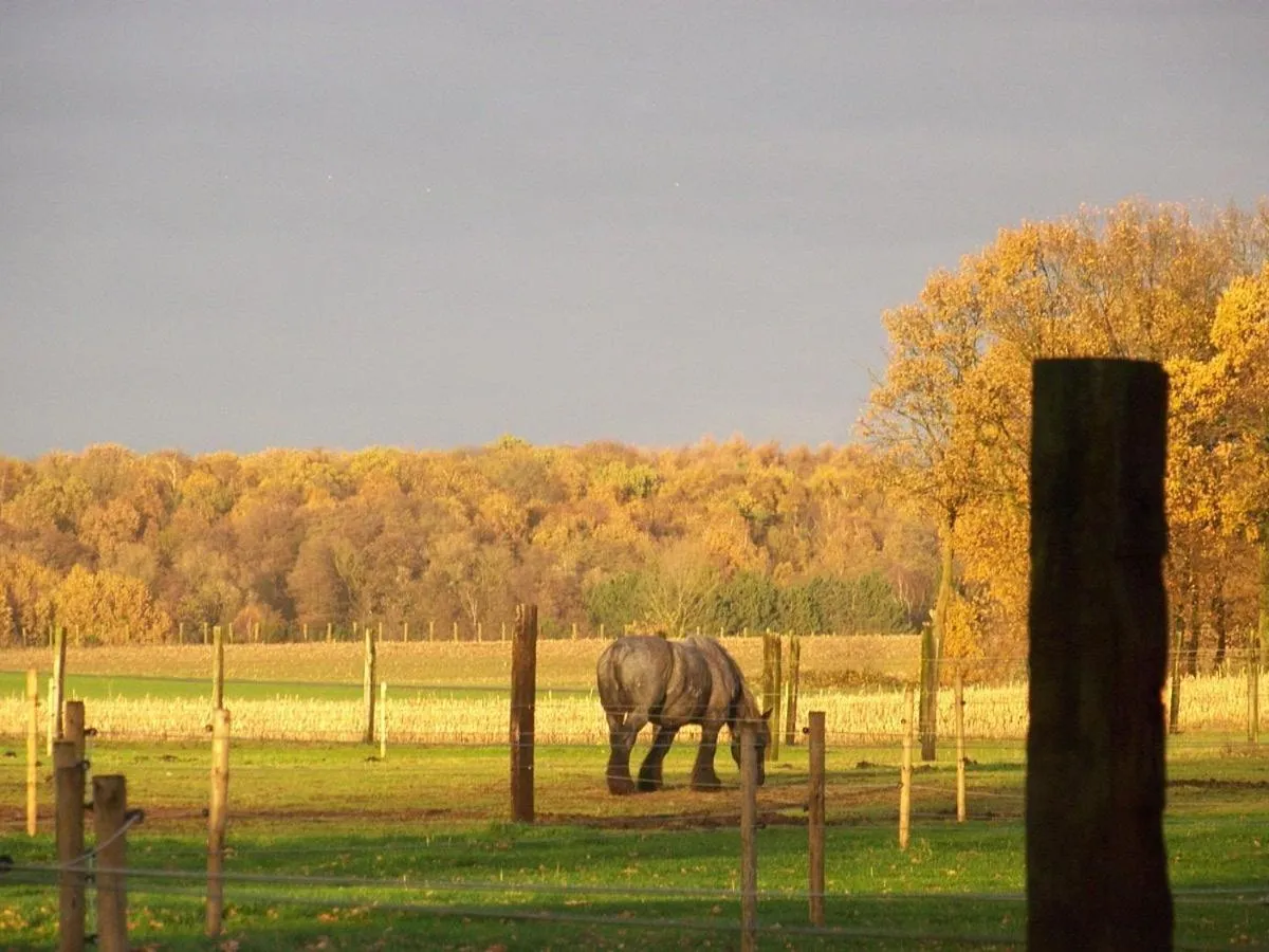 Pets in De Blauwe Maaten