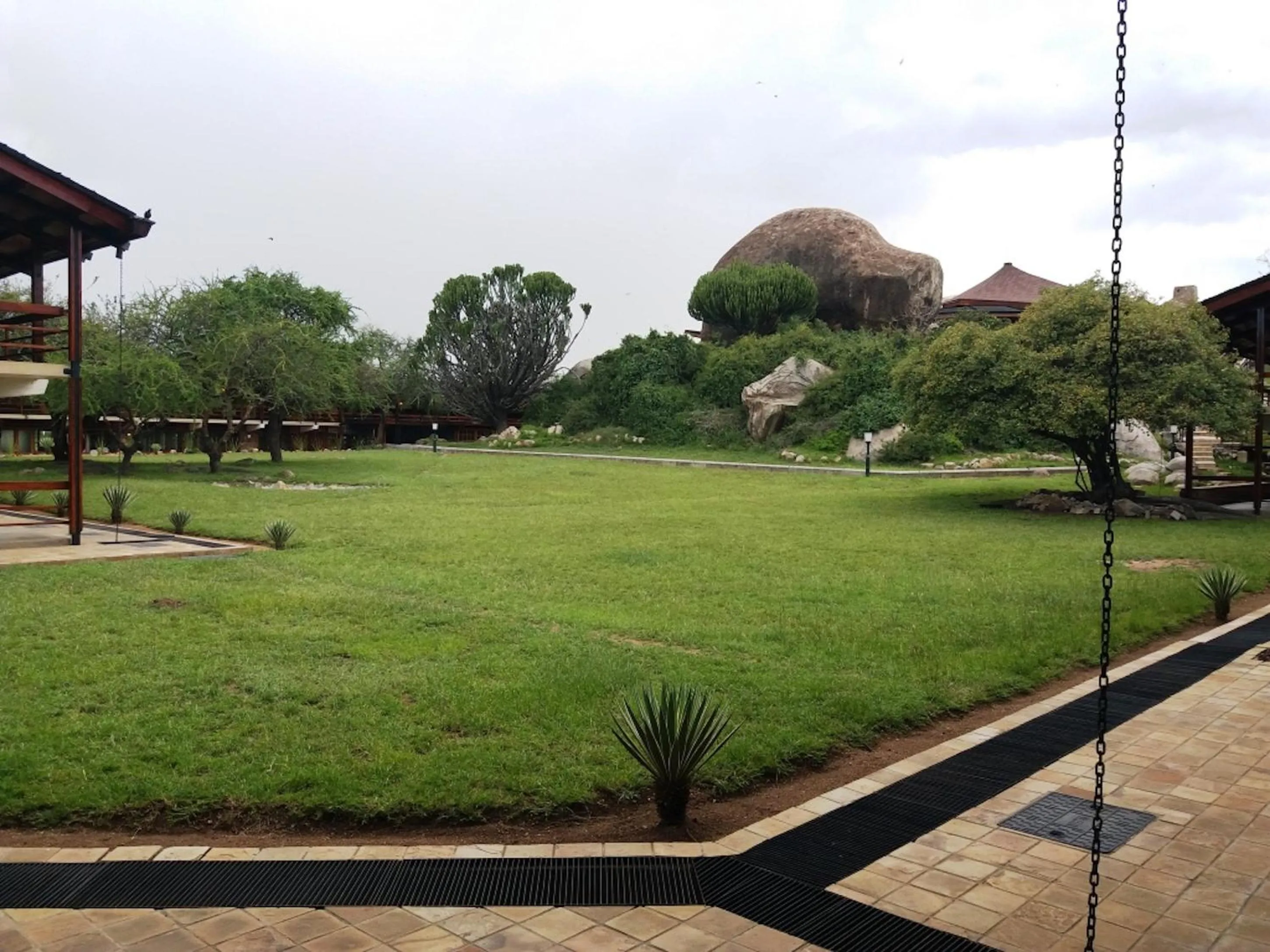 Garden in Seronera Wildlife Lodge