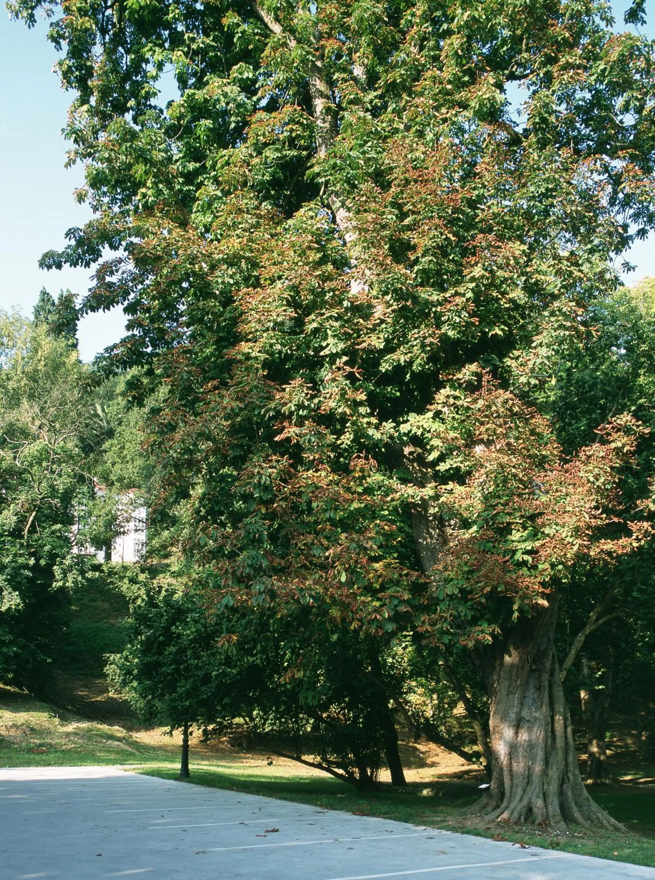 Facade/entrance in Parador de Limpias