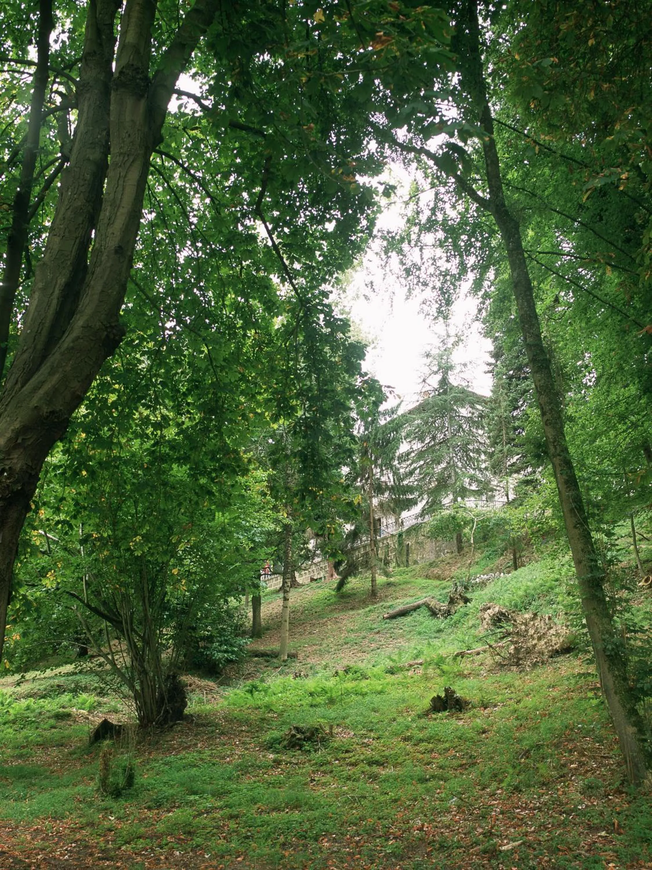 Garden in Parador de Limpias