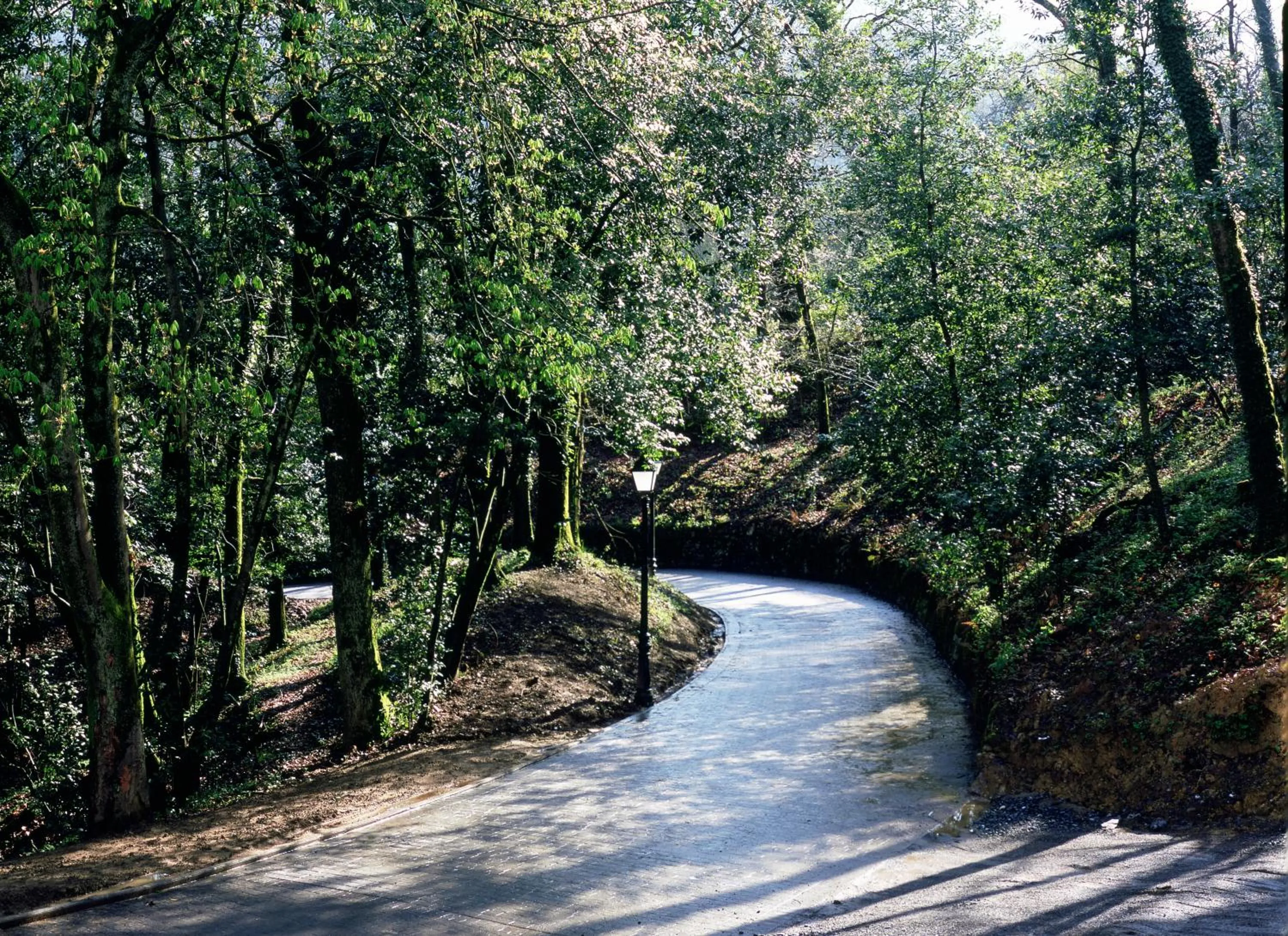 Facade/entrance in Parador de Limpias