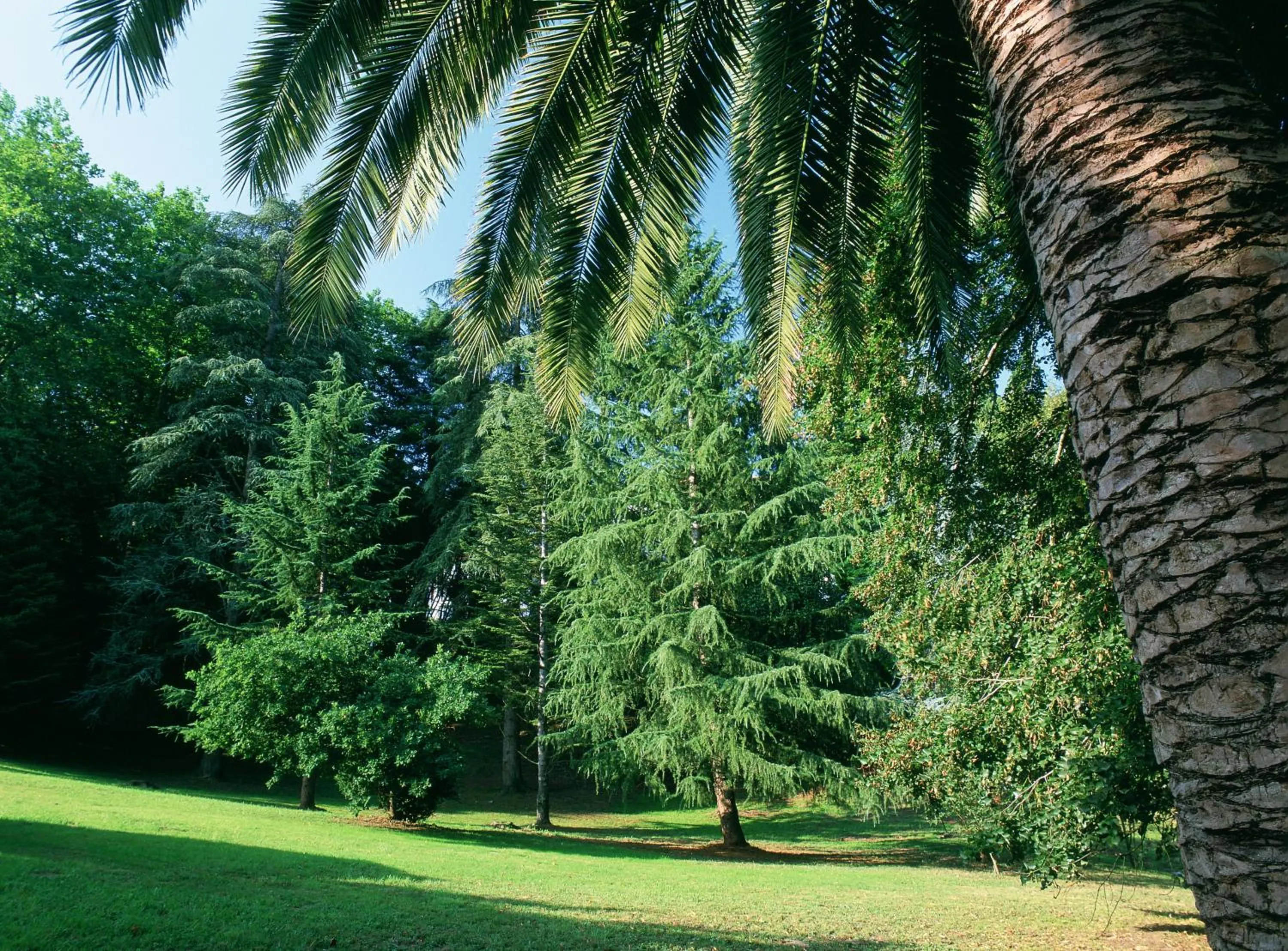 Facade/entrance in Parador de Limpias