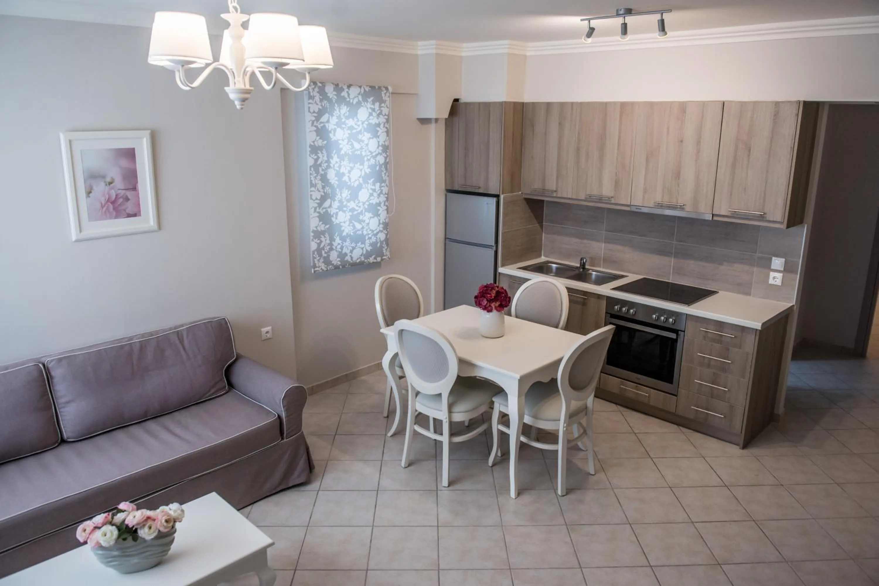 Kitchen or kitchenette in Lefkadio