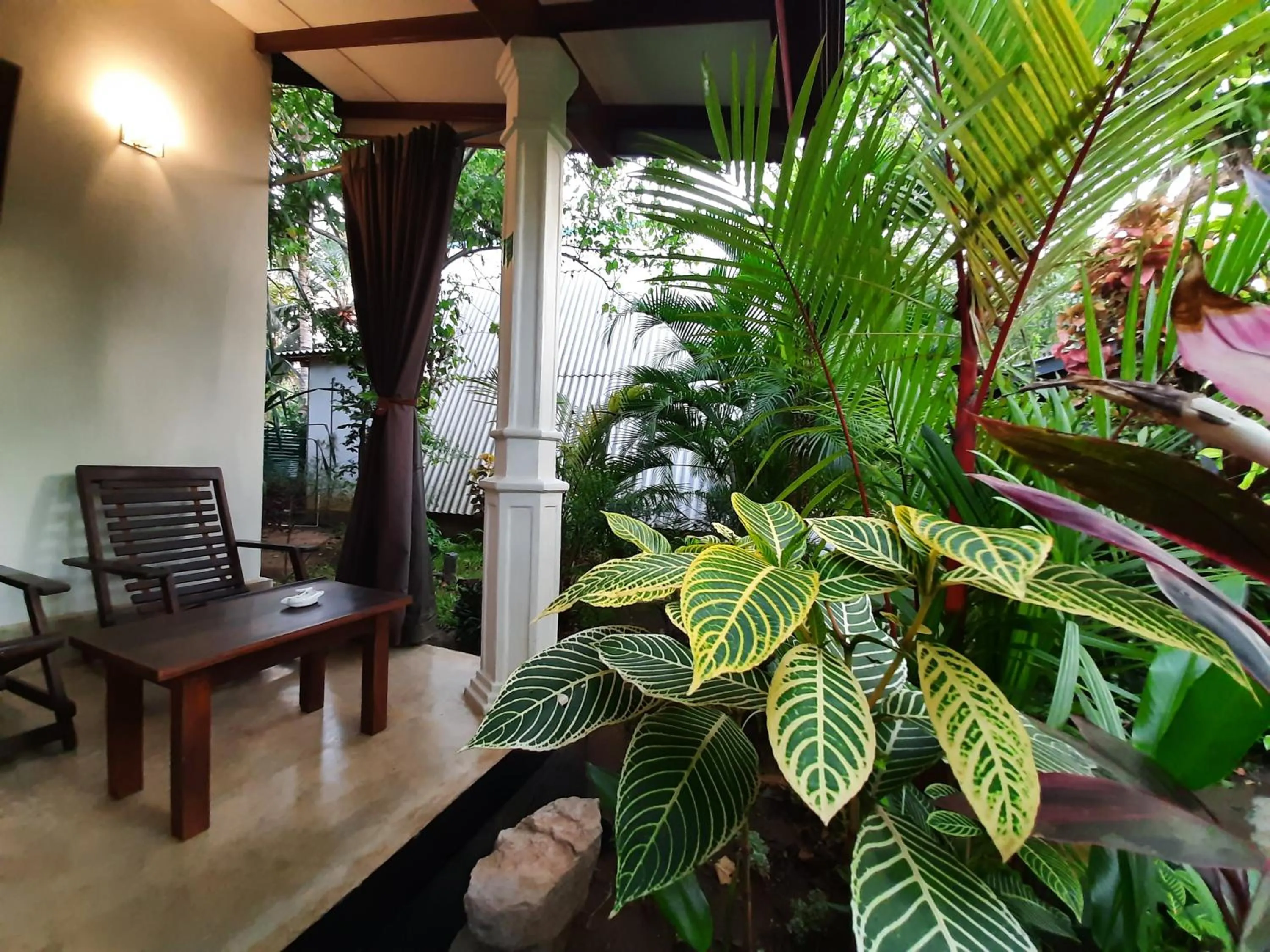 Garden view in The Otunna Guest House Sigiriya