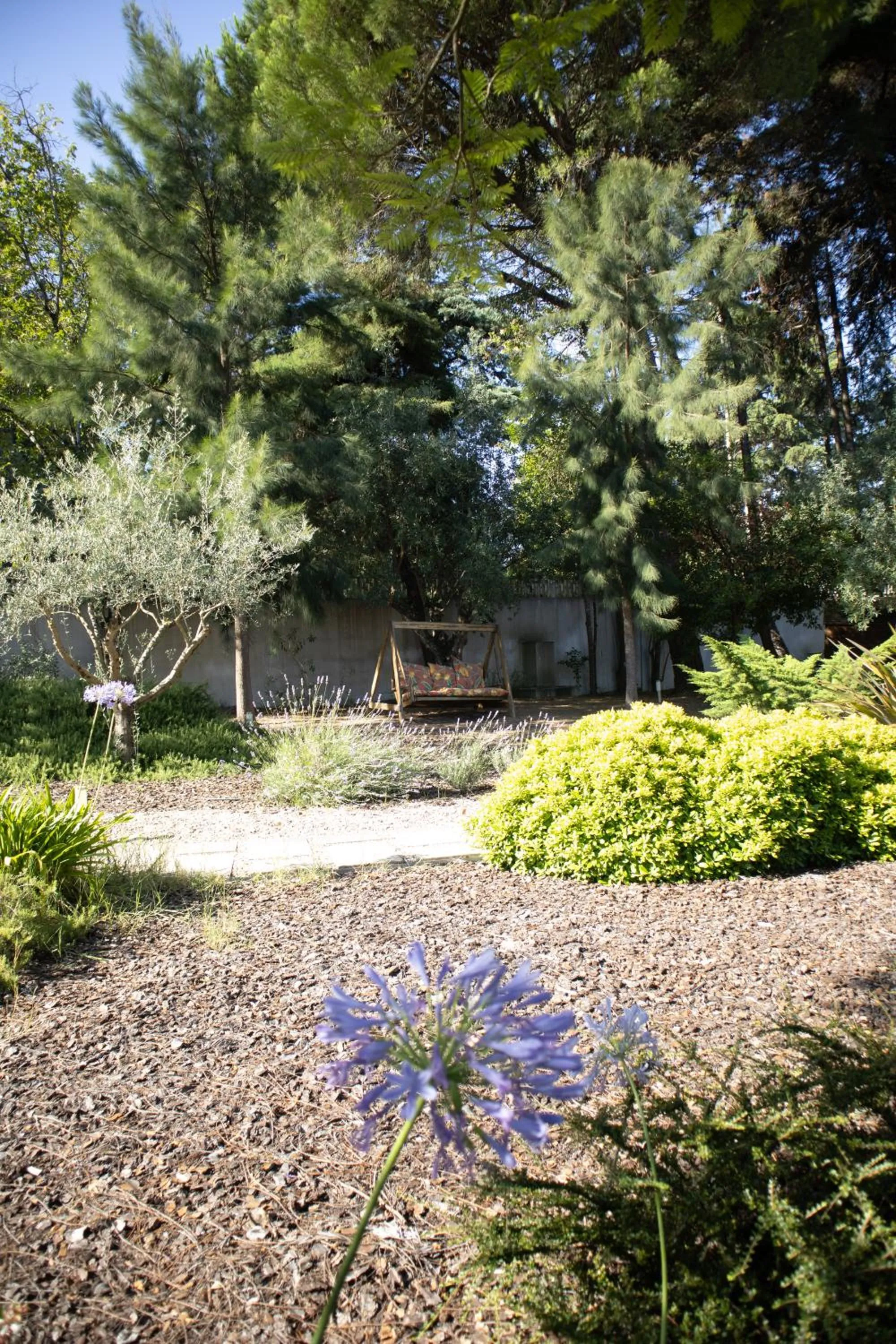 Garden in Aires da Serra Hotel