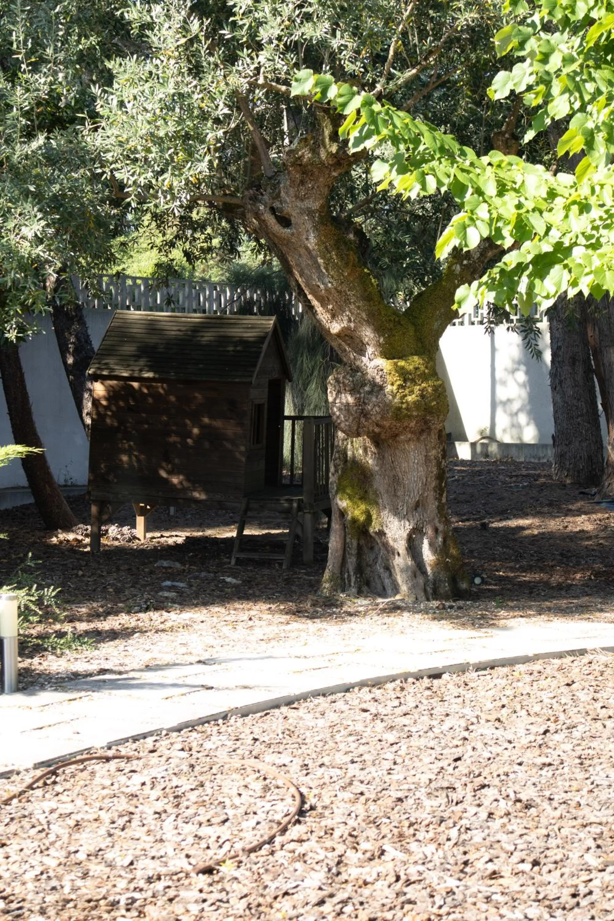 Garden in Aires da Serra Hotel
