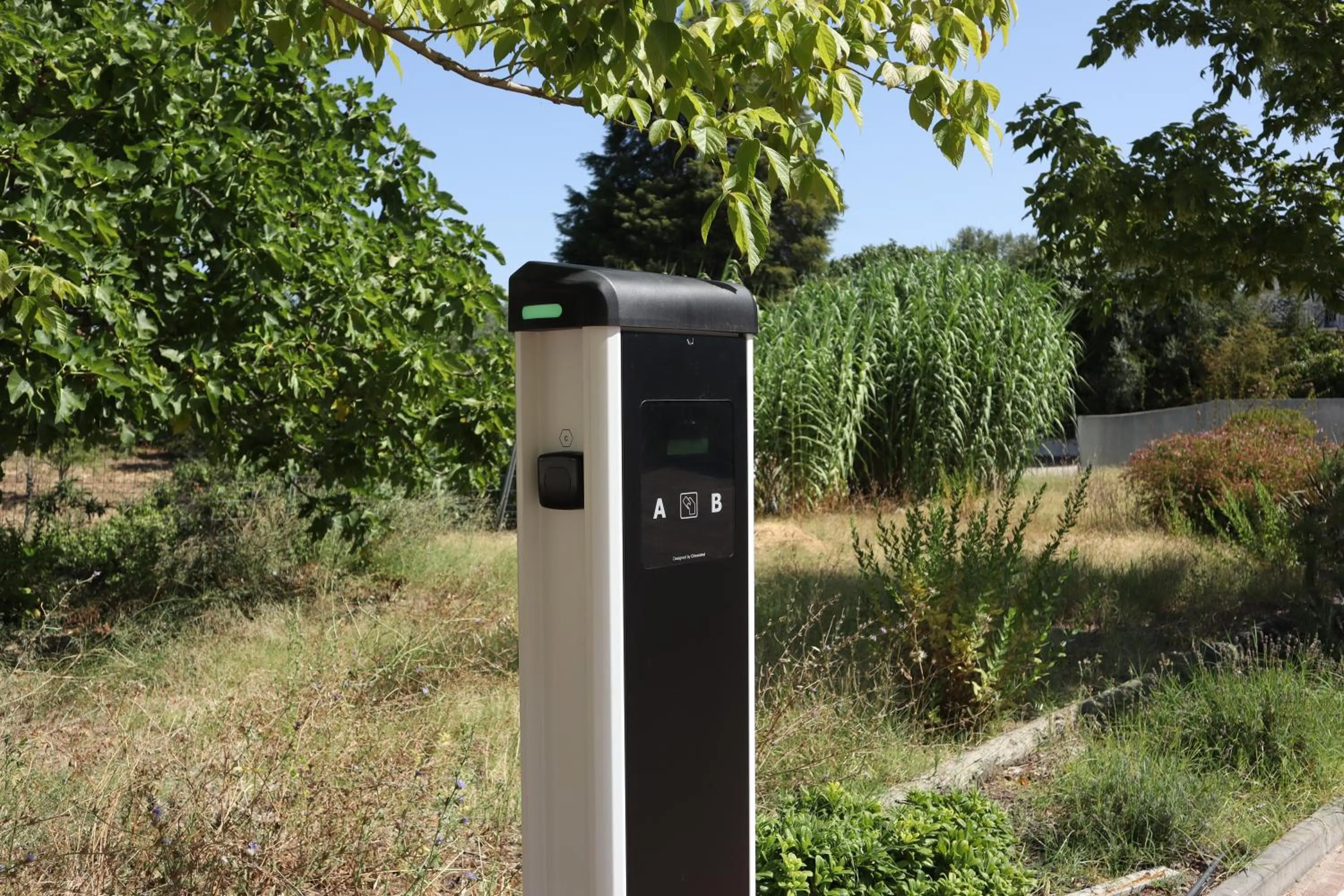 Garden in Aires da Serra Hotel