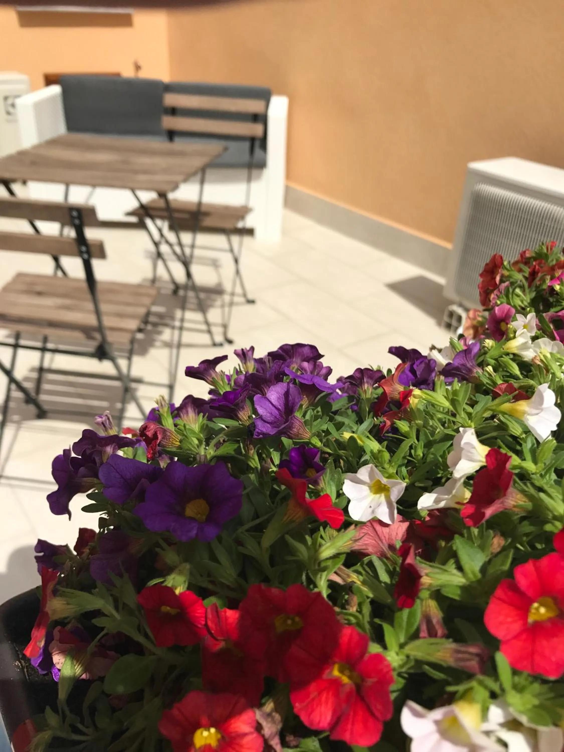 Other in La Meridiana