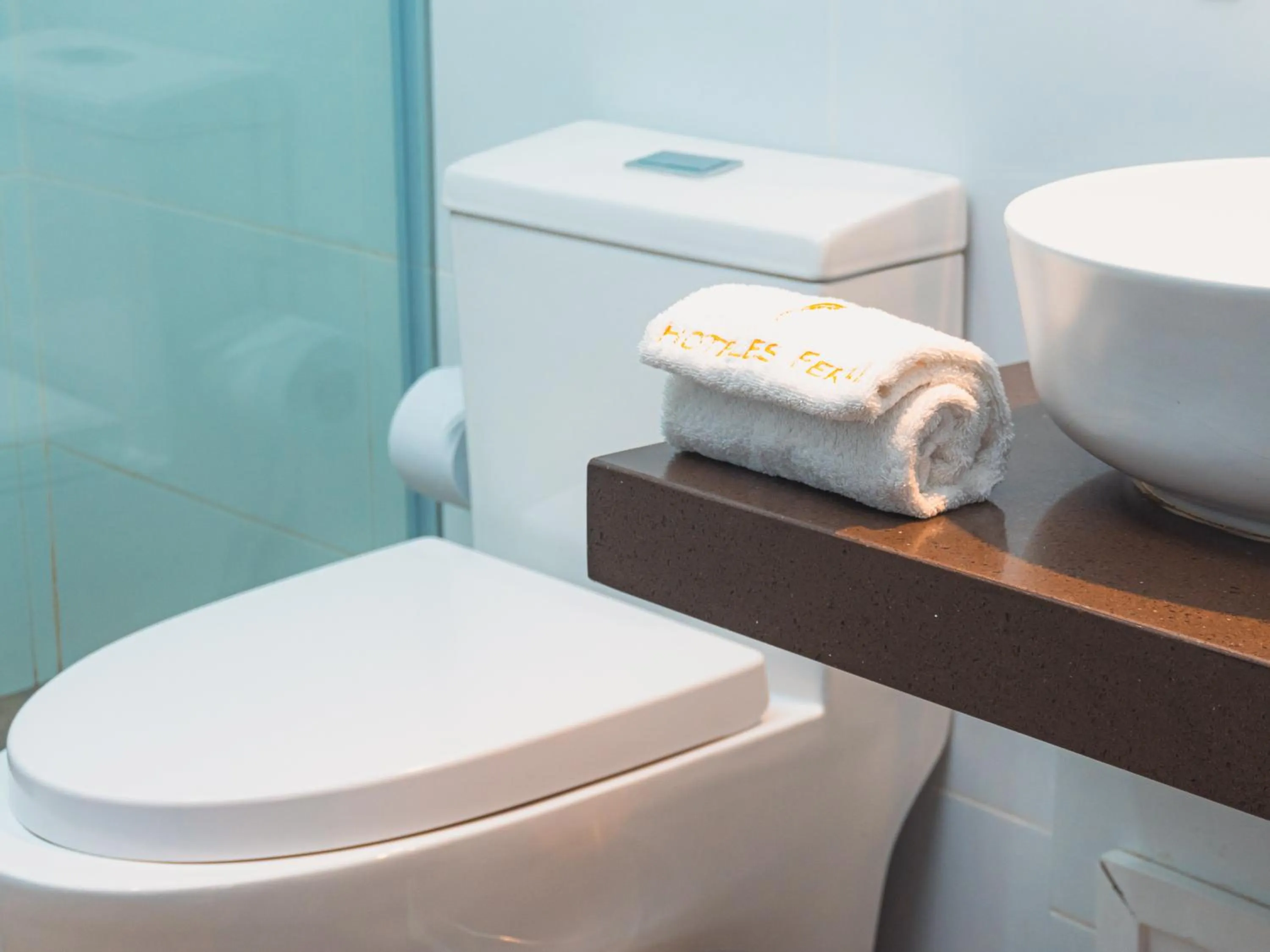 Toilet in Hotel Ferré Miraflores