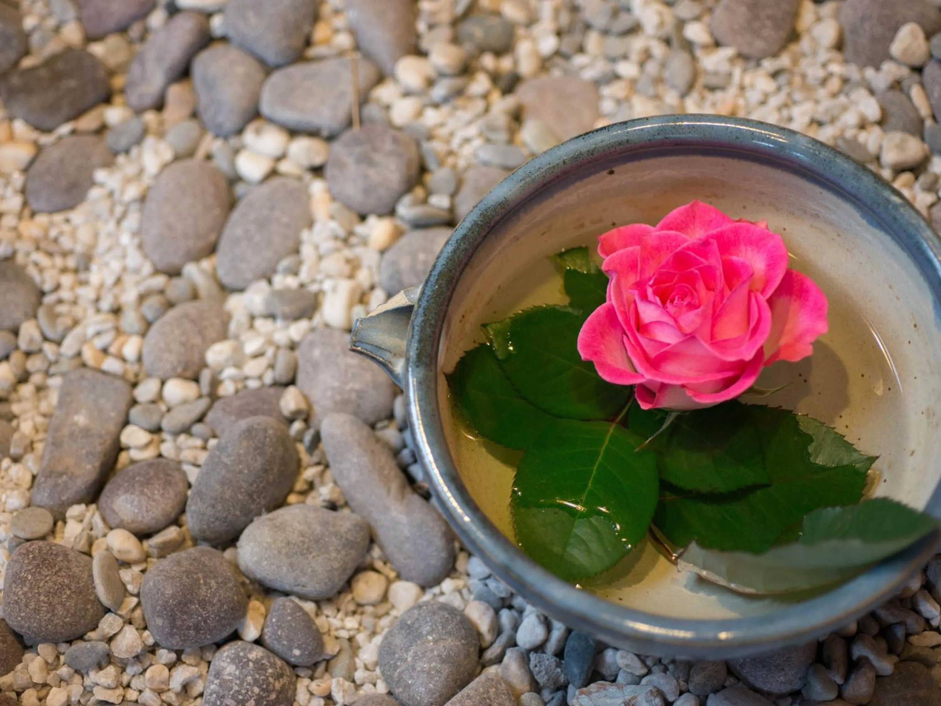 Photo of the whole room in Kappo Ryokan Shiroyama