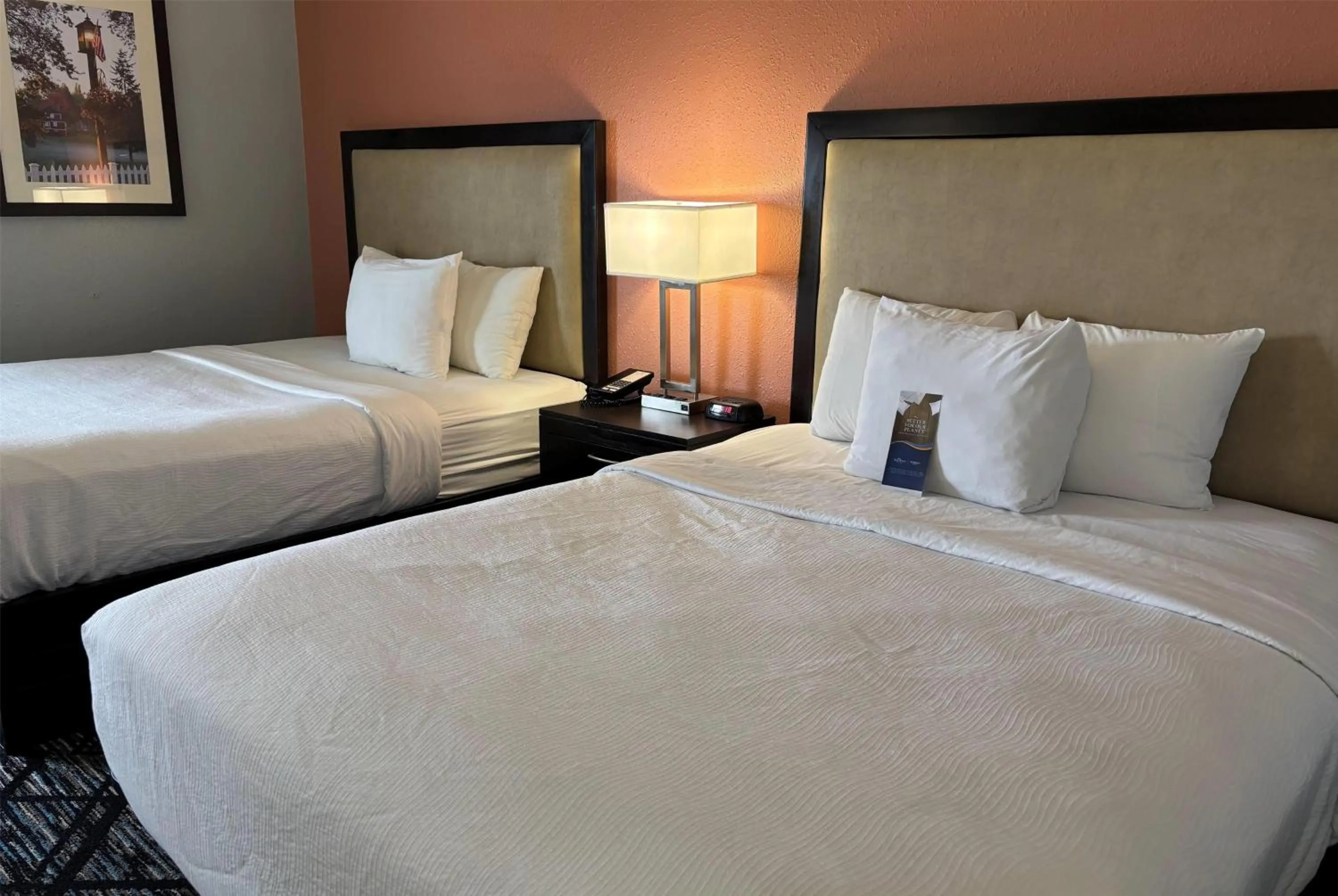 Photo of the whole room, Bed in Baymont by Wyndham Litchfield