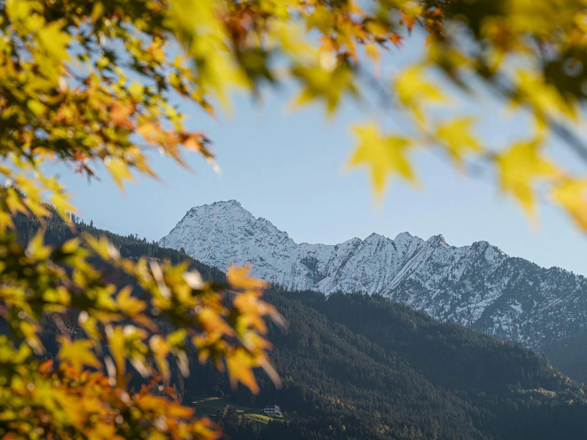 View (from property/room) in Apparthotel "Landhaus Veronika"