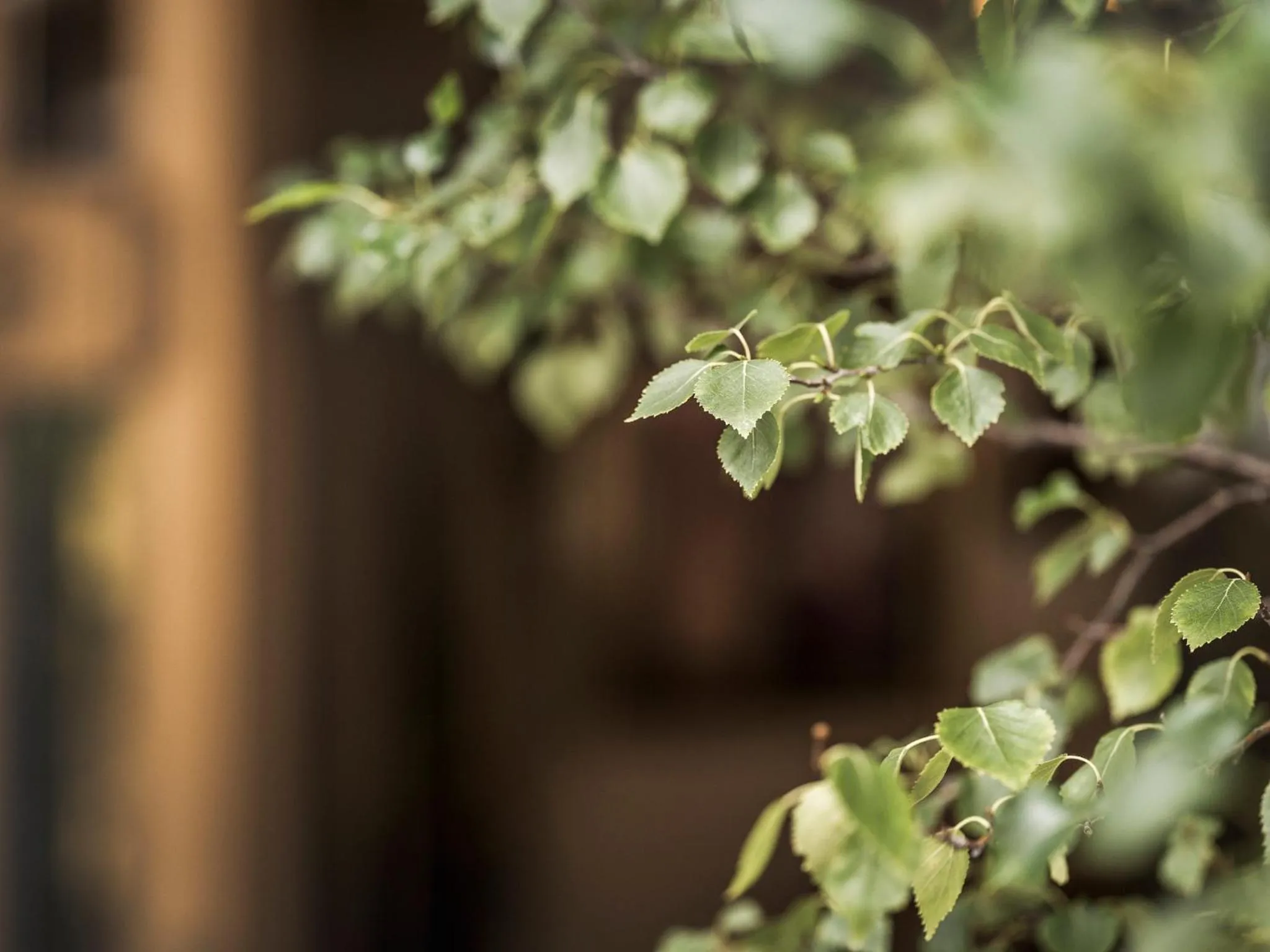 Natural landscape in Apparthotel "Landhaus Veronika"